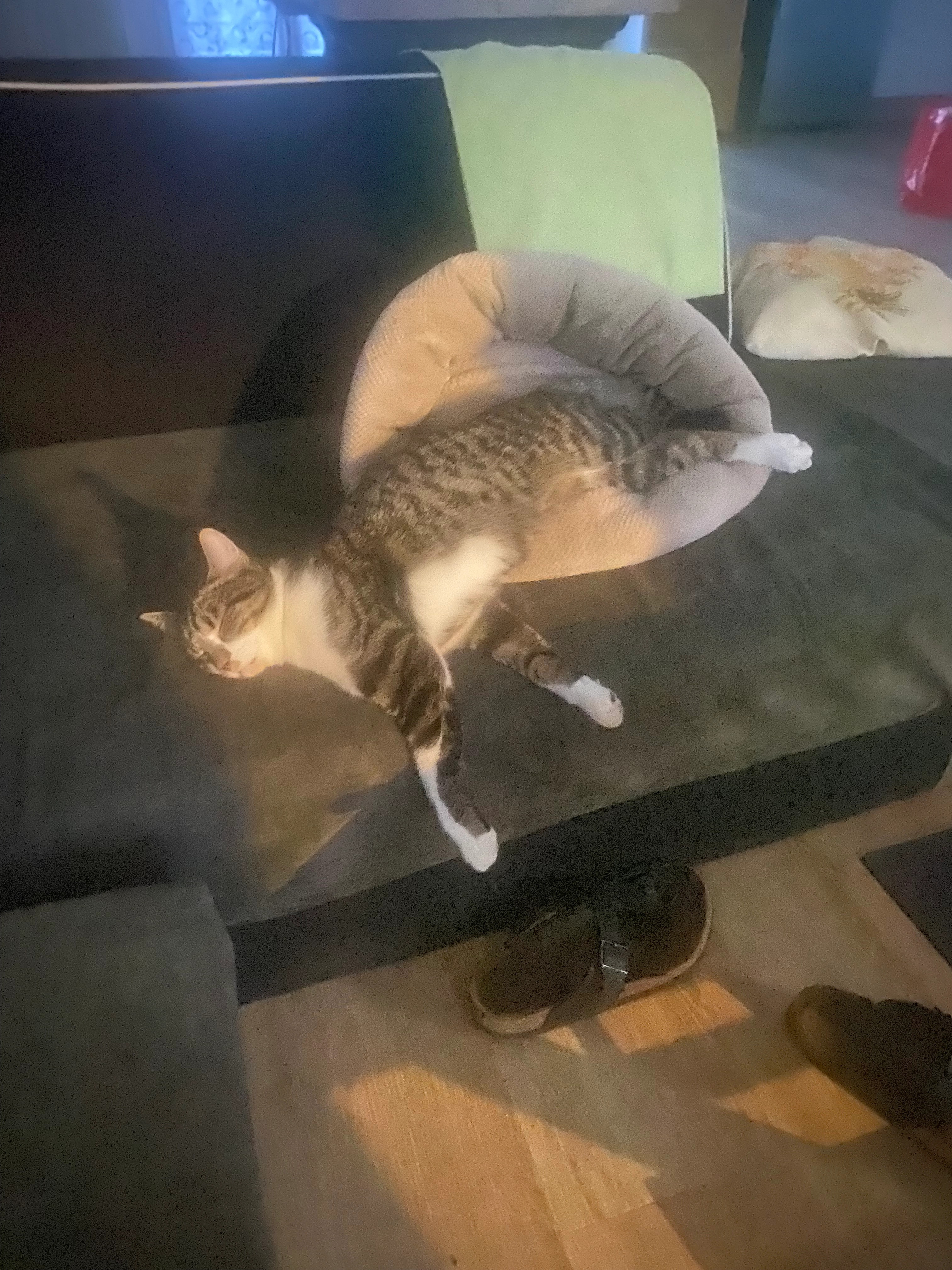 Watson - R 57, Paimpol