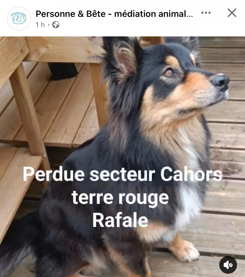 Rafale  - 46000, Cahors