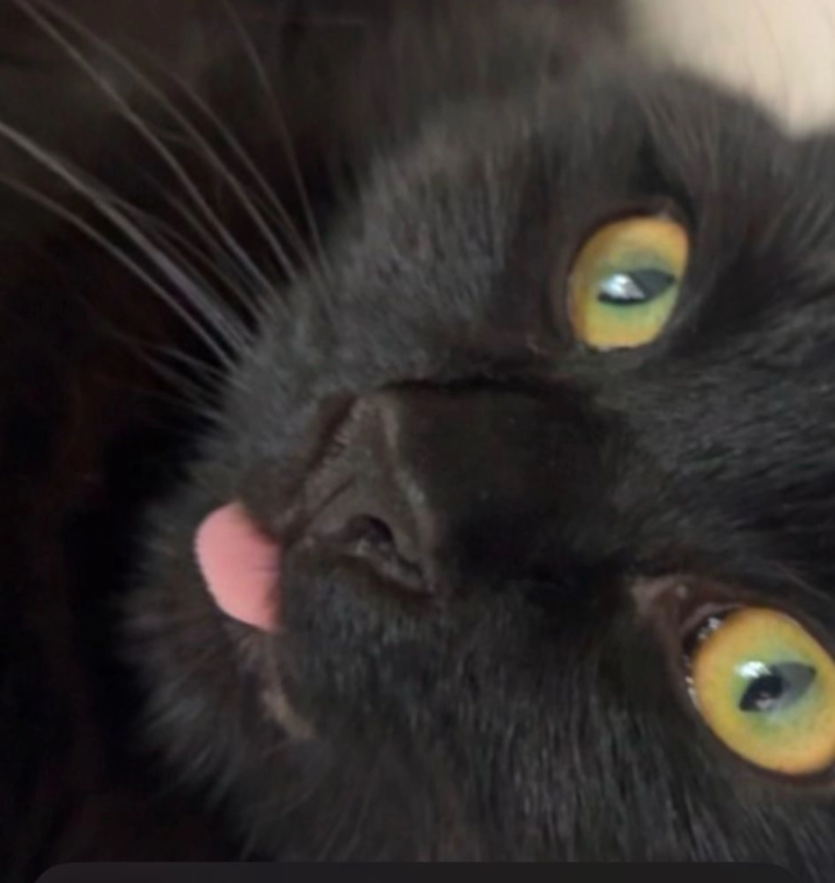 Nora - Alpenlaan, Tilburg