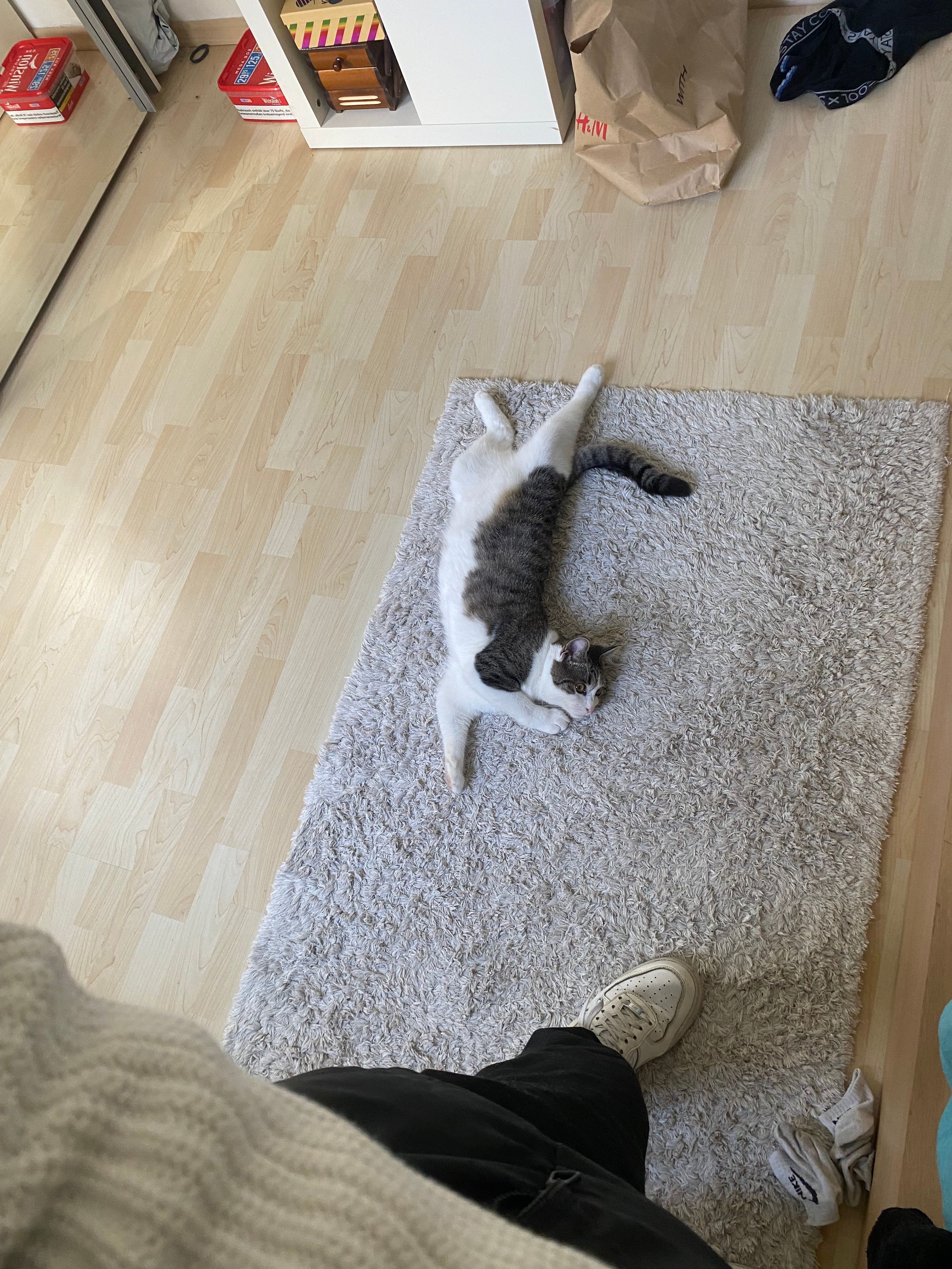 Rico - Michael-Burgau-Straße, Regensburg