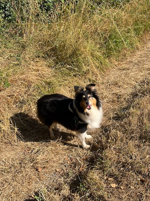 Ilka - Rue de Moillebeau 3E, Genève
