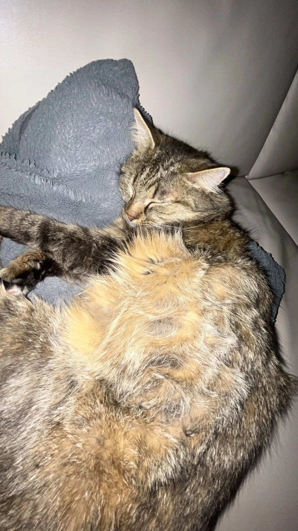 Flauschi - Südstraße, Gößnitz