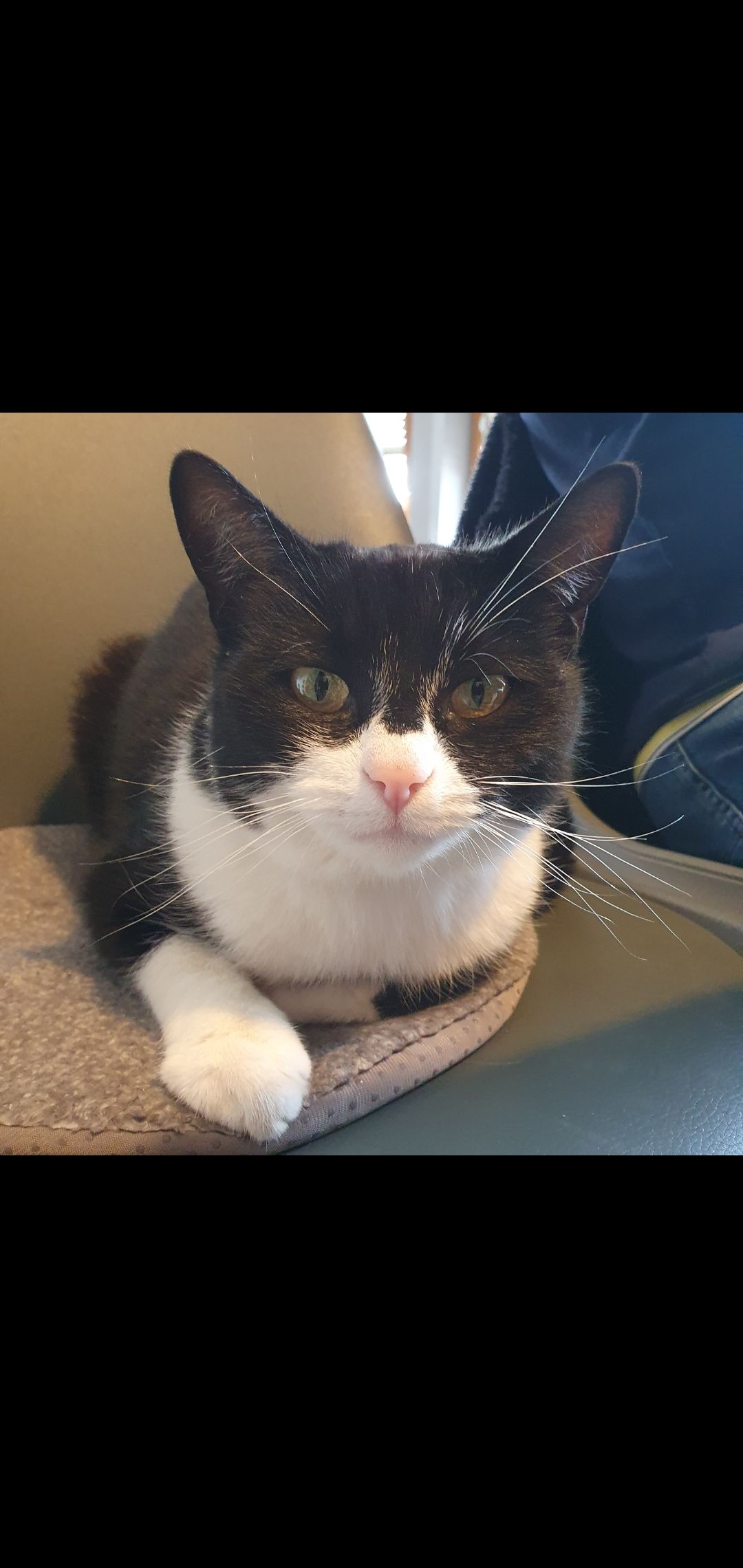 Salt  - Am Gassenrain 11 , Bischofsheim in der Rhön