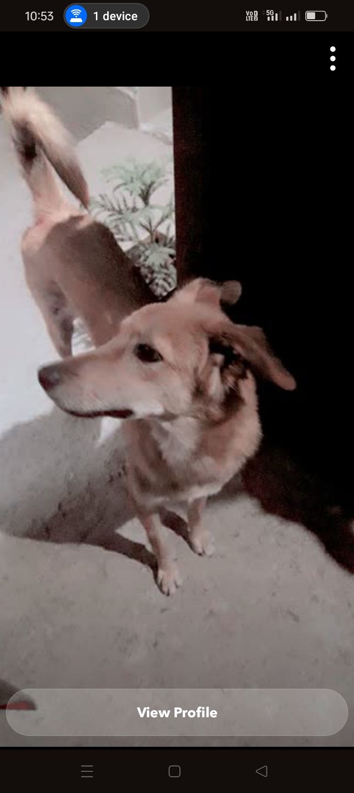 Golu  - 127021, Bhiwani