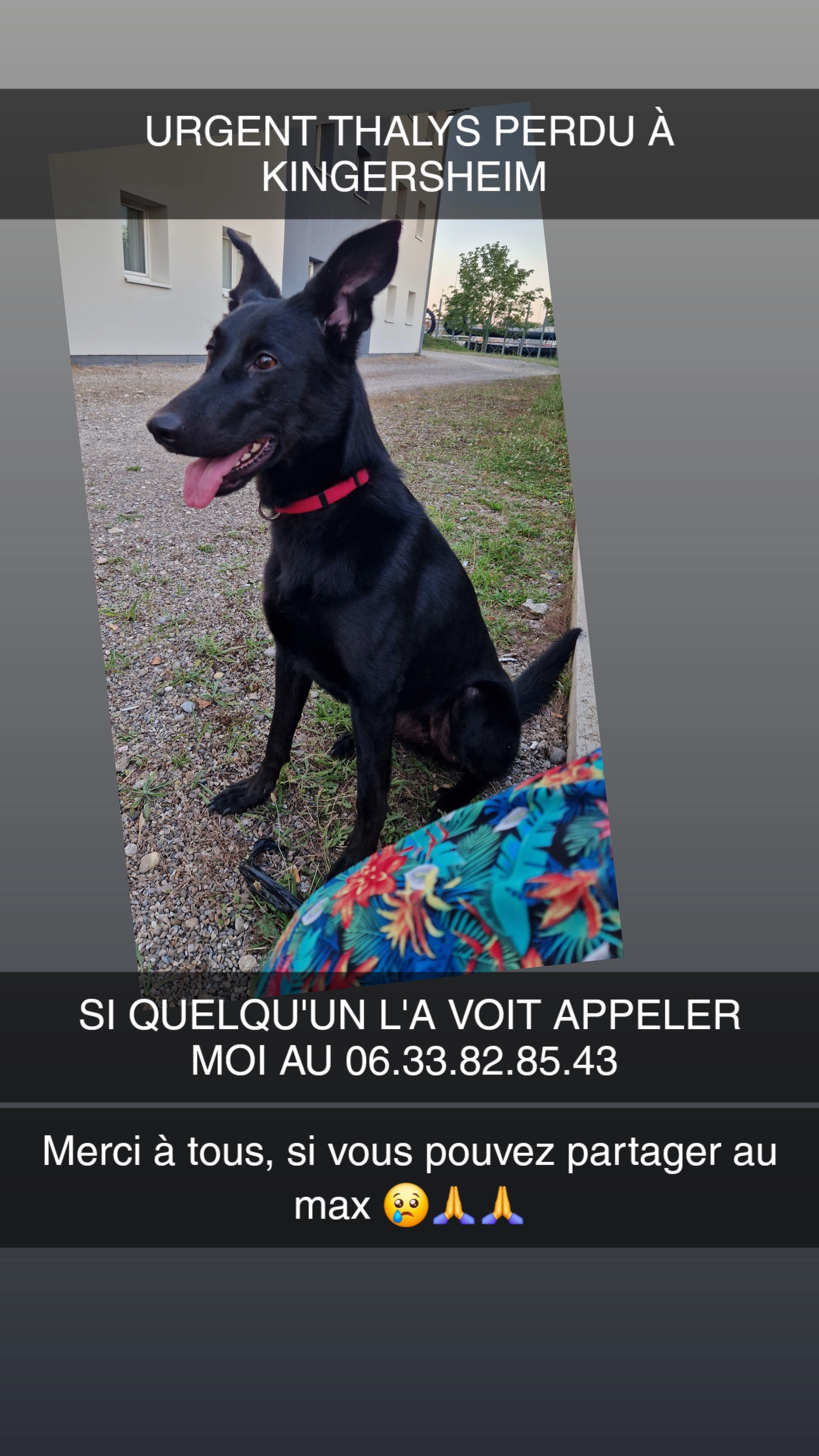 Thalys - Rue De La Griotte, Kingersheim