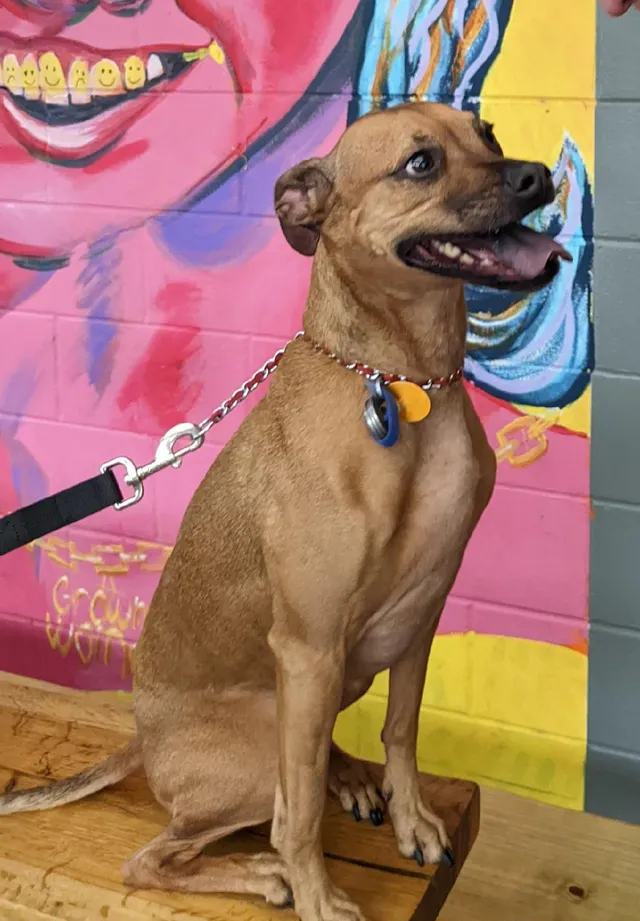Ruby - 50613, Cedar Falls