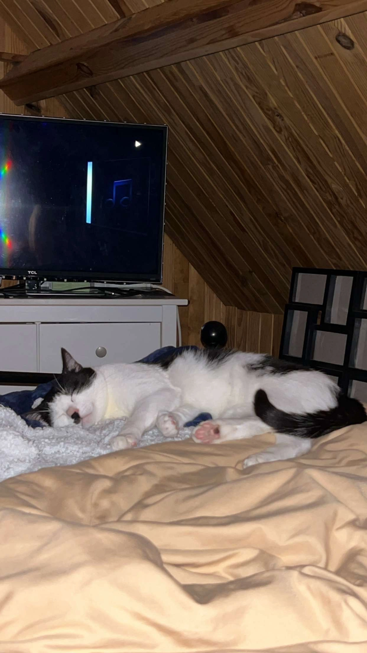 Vanille - Rue Aux Juifs, Buchy