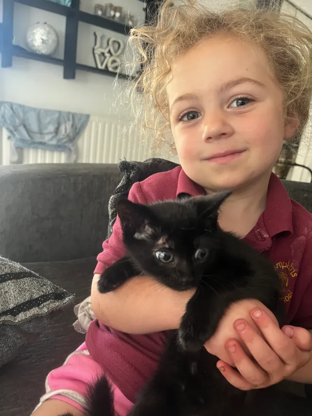 Tiggy - TW19 5, Staines-upon-Thames