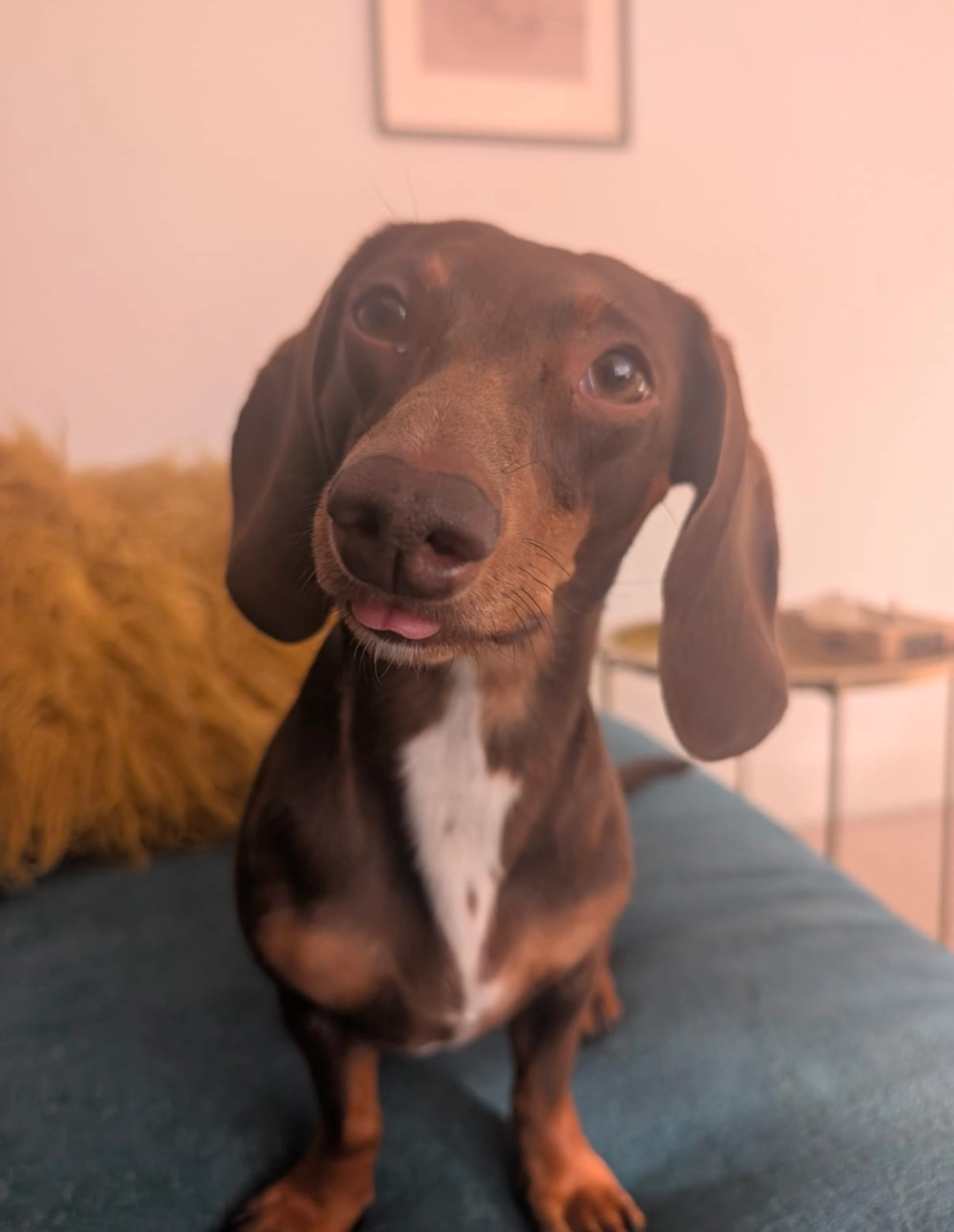 Waffle - 15 Ravenhill Road, Bristol