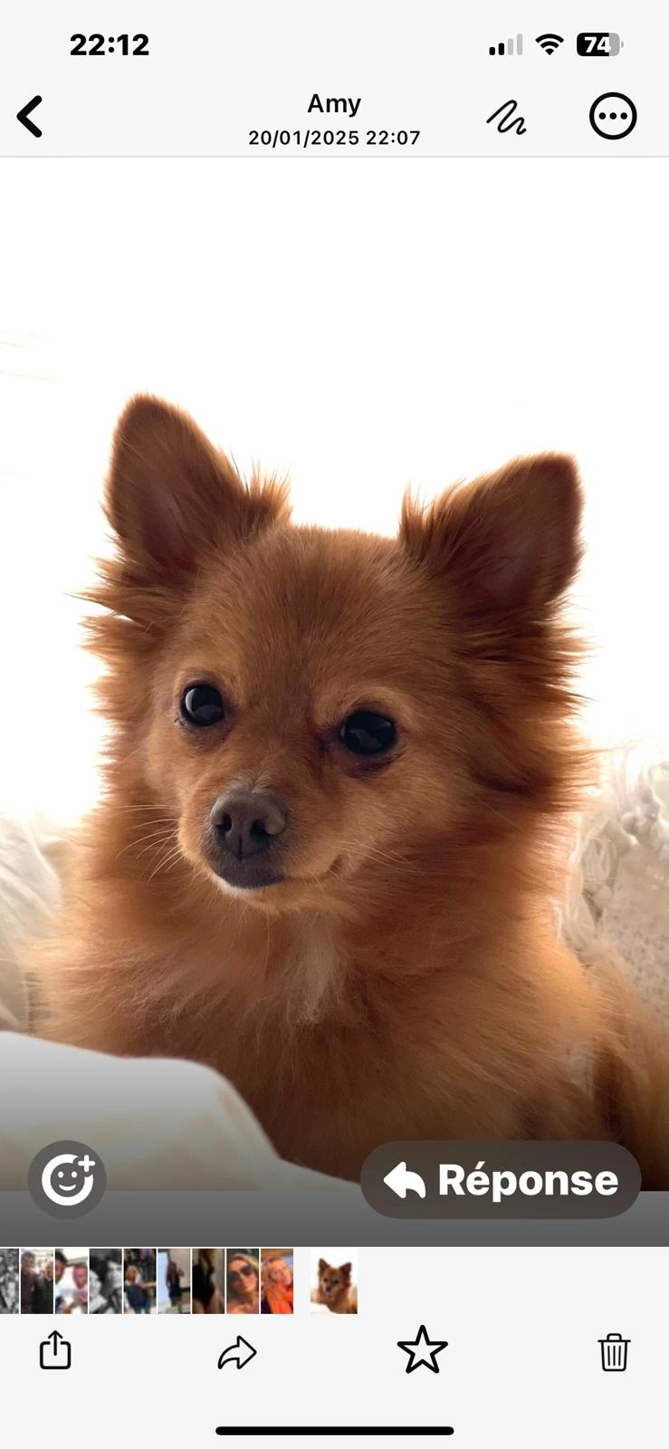 Sky - 660 Route de Pont l'Évêque, Bonneville-sur-touque