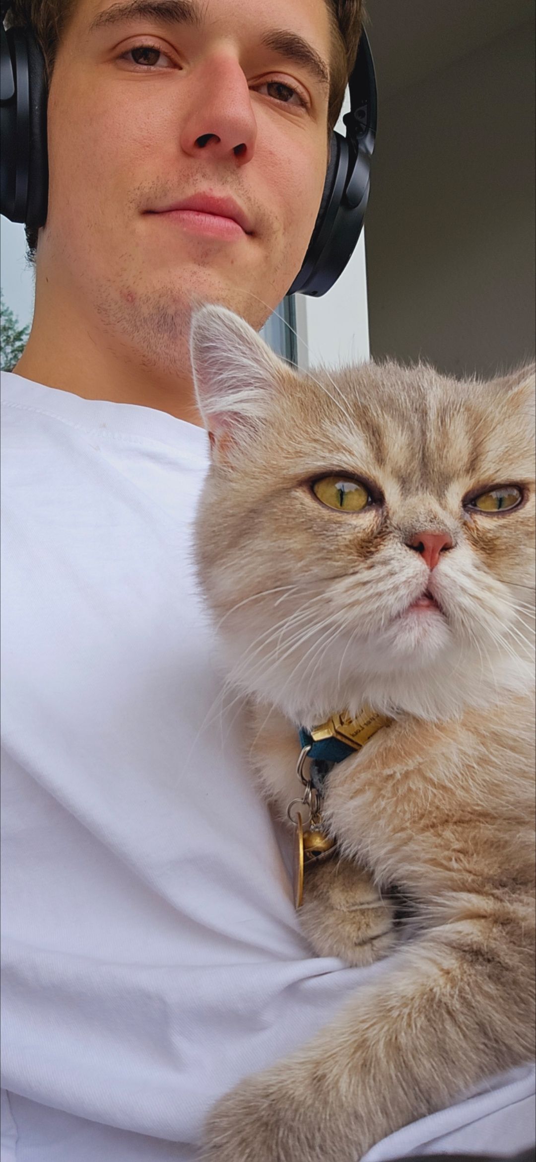 Louis, frisch kastriert smso dgws - Hessentaler Straße, Schwäbisch Hall