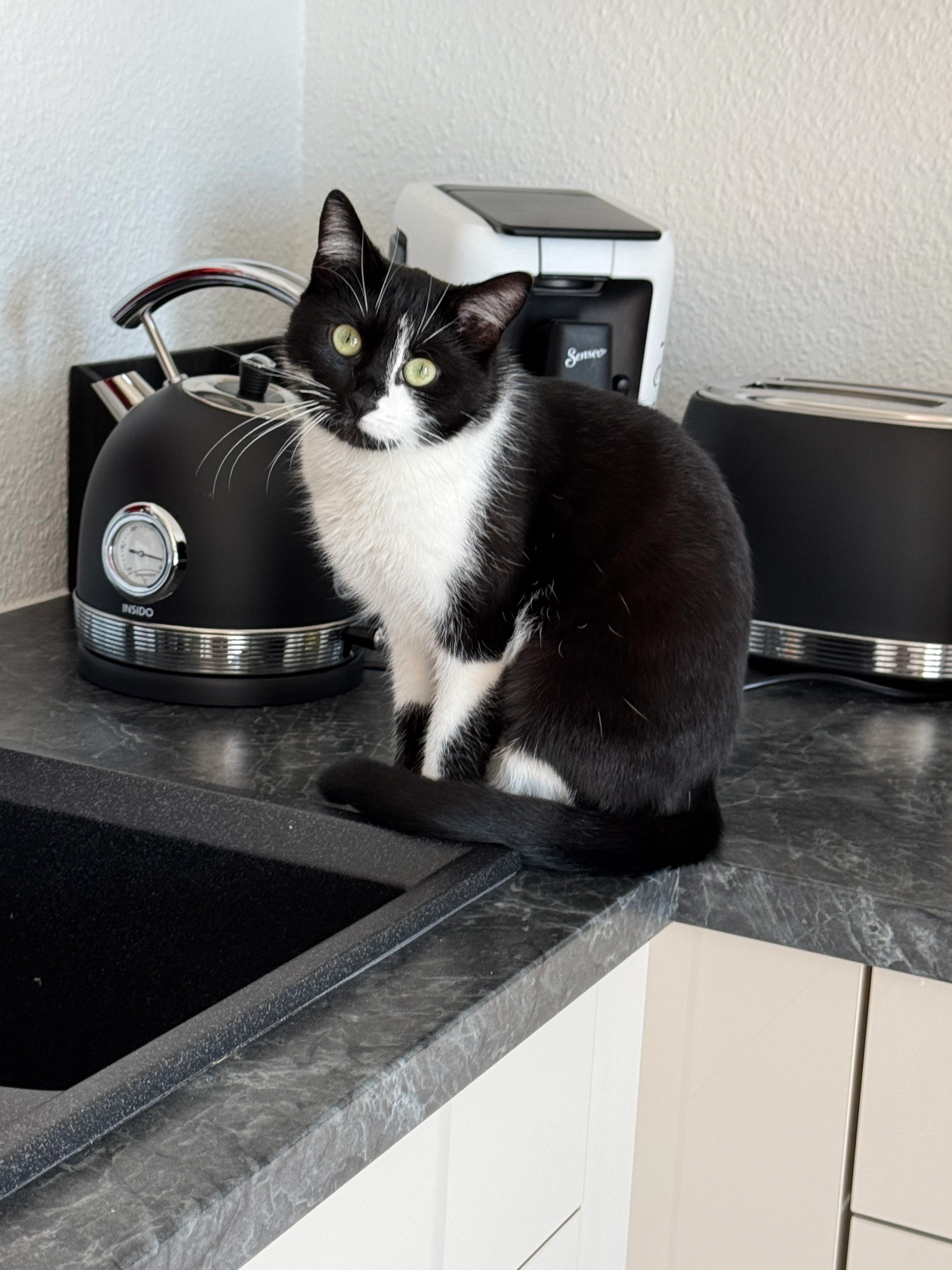 Luna  - Erbsengasse, Bad Liebenstein