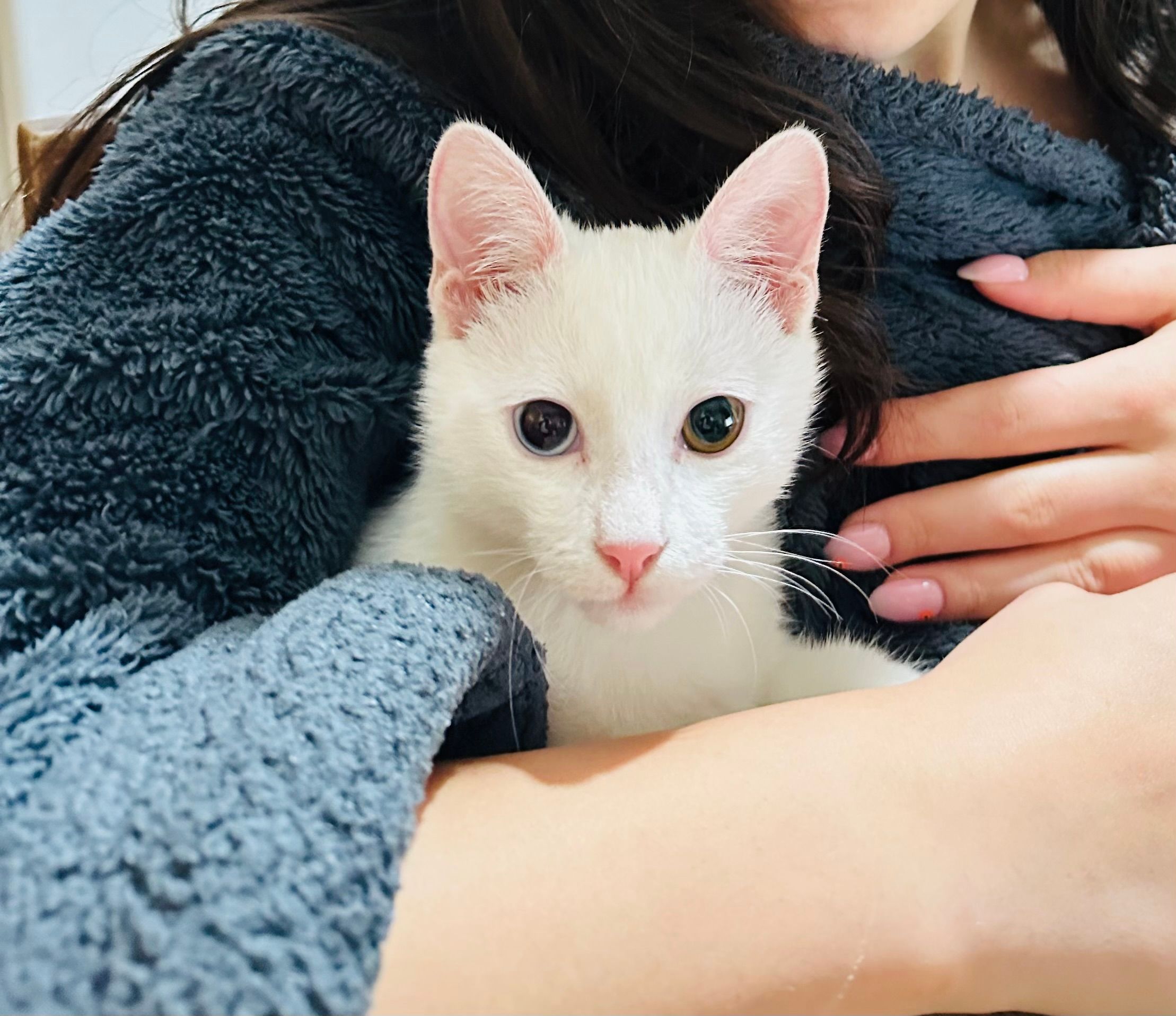 No name - gumbris shesakhvevi, tbilisi