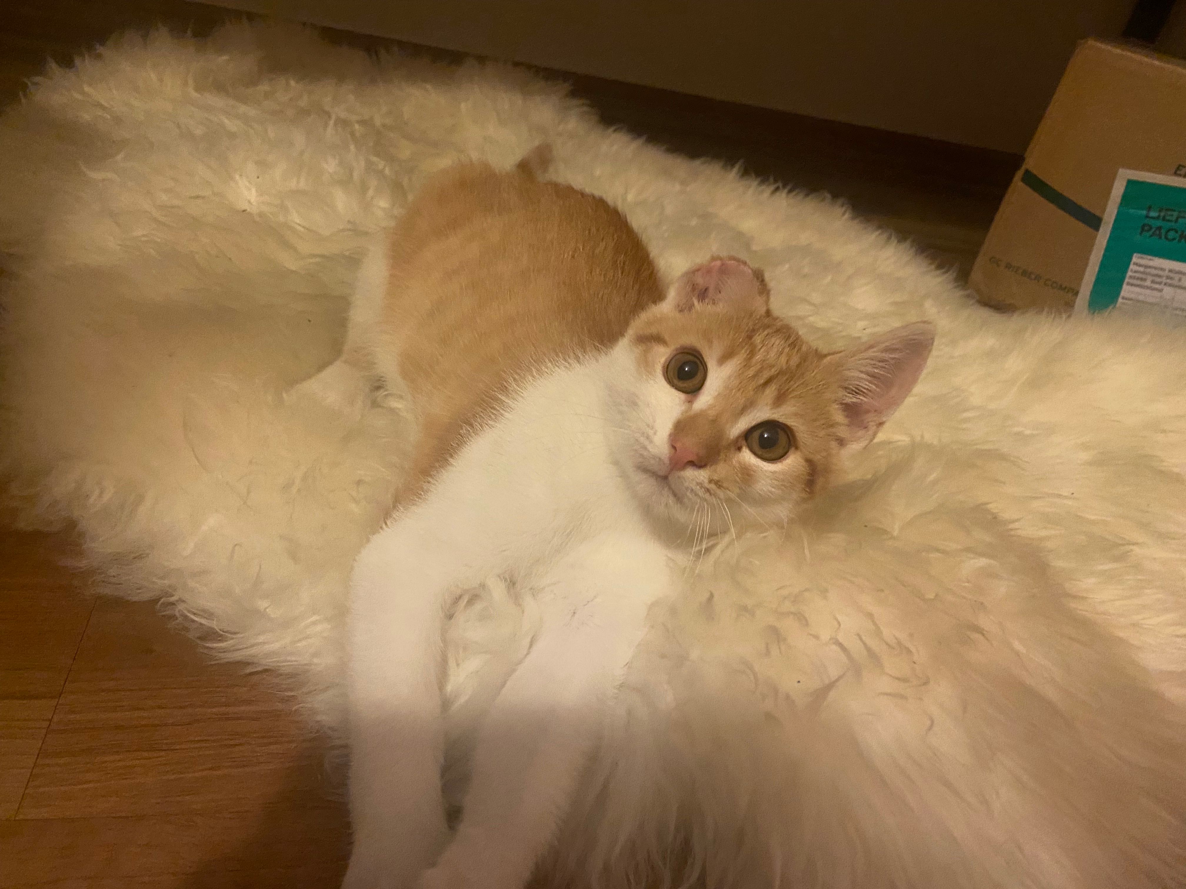 Peter - Haidsteiner Straße, Runding