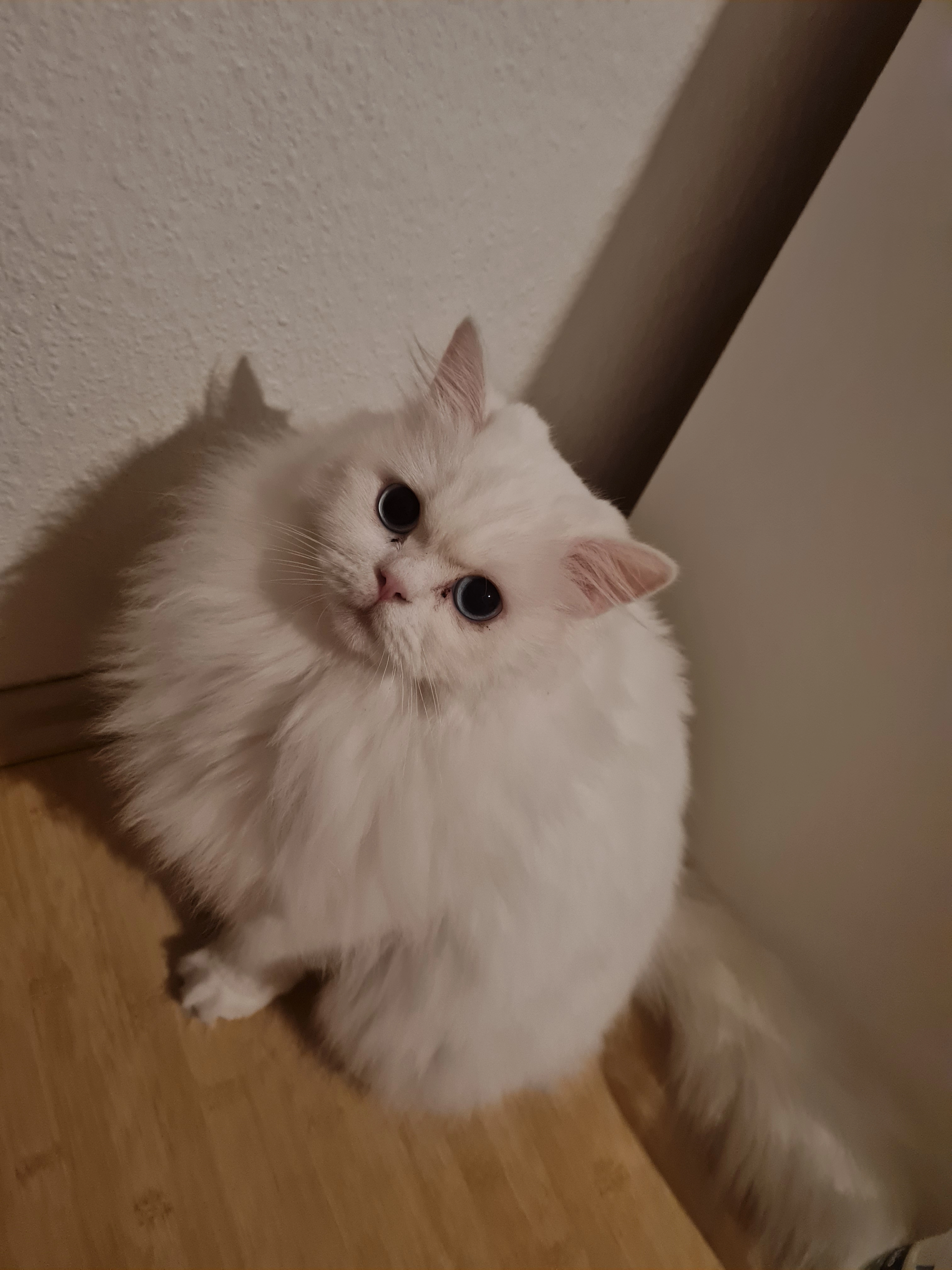 Mavi - Hermannstraße, Tuttlingen