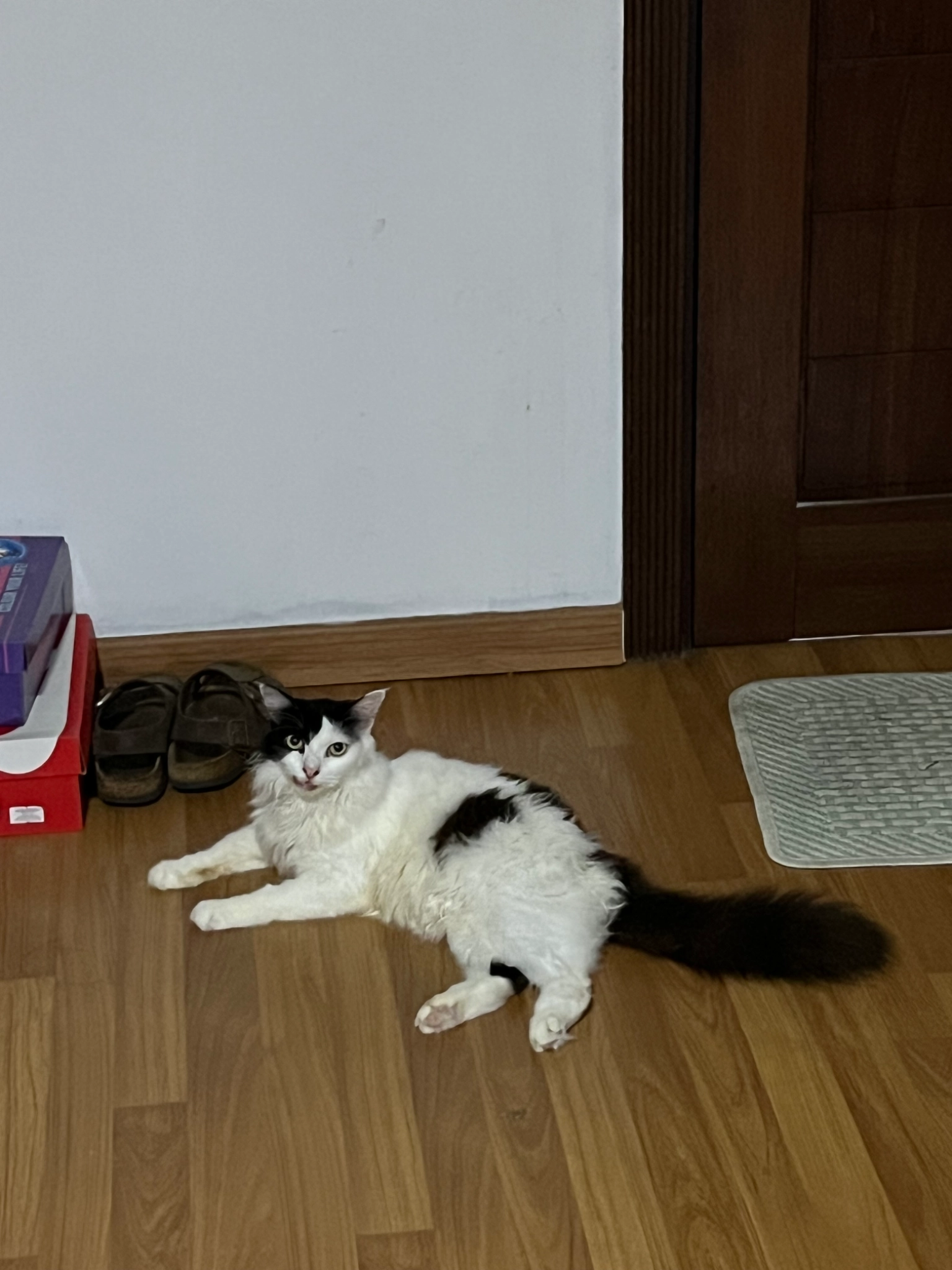 Moosa - Jalan Bukit Permai, Kuala Lumpur