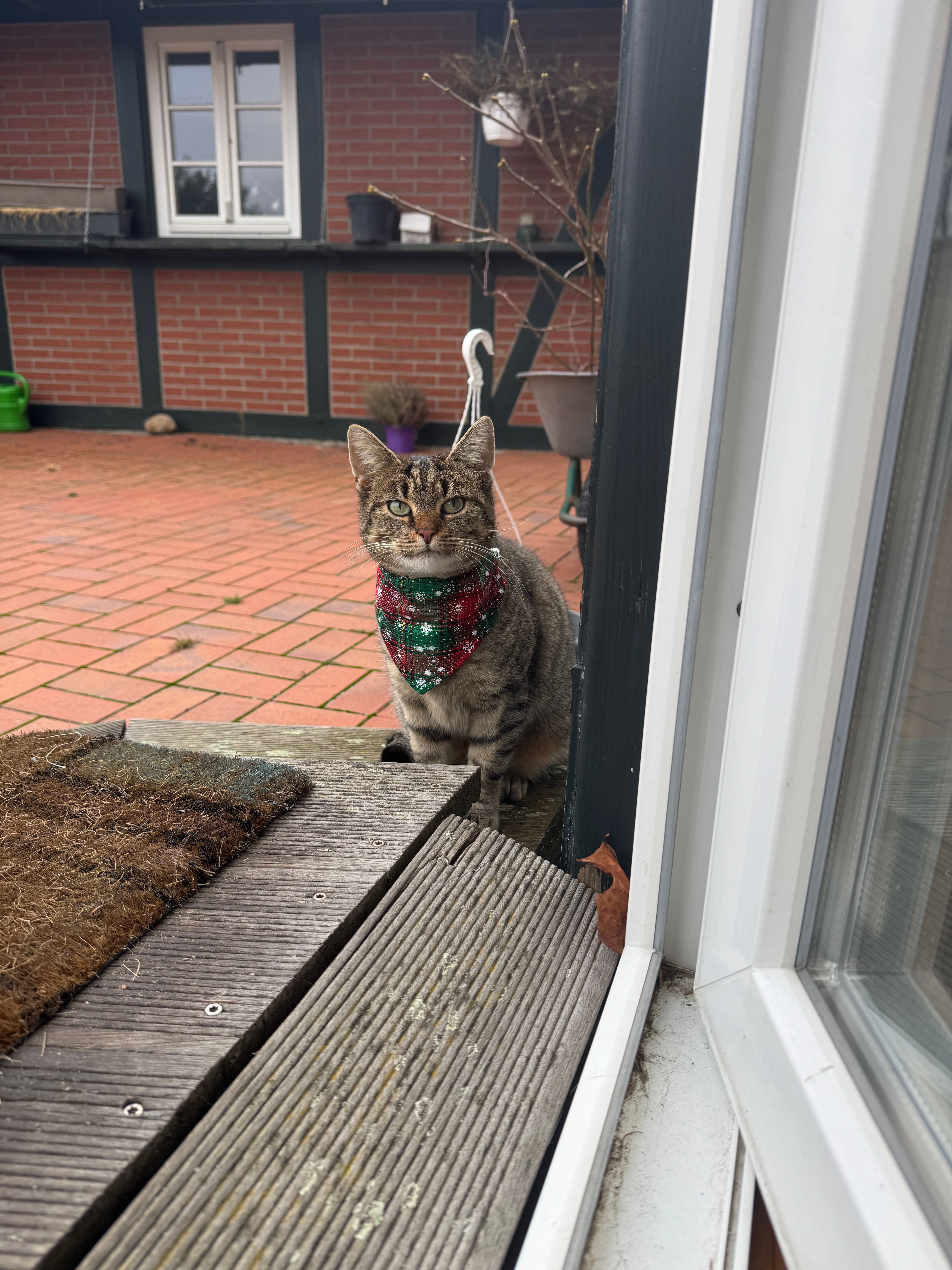 Mäuschen - Schwarzer Weg, Kremmen