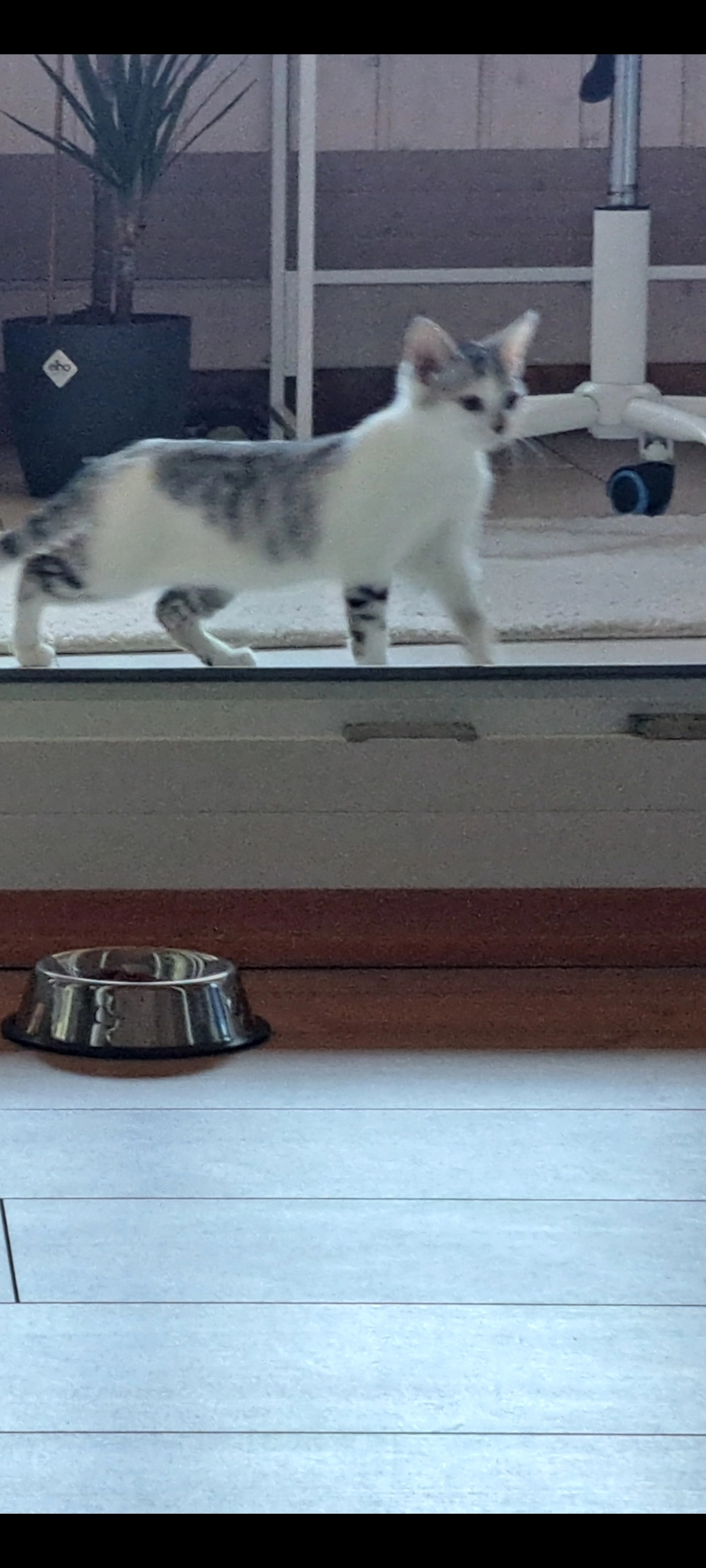 Noch kein name - Ackermannstraße, Maisach