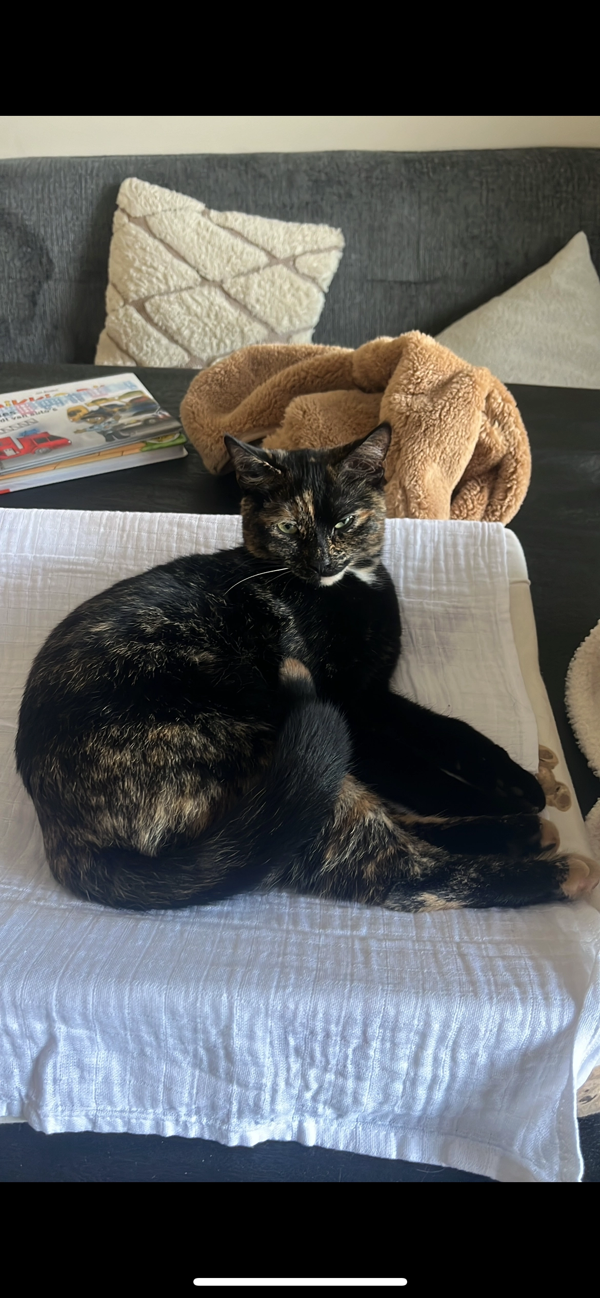 Molly - Marterlaan, Winschoten