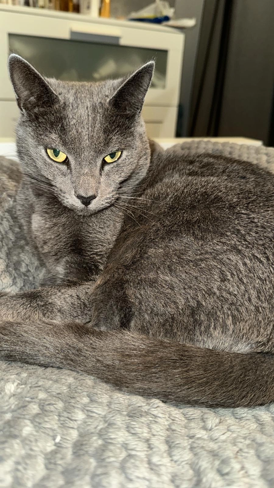 Milly - Cassino Road, Watchet