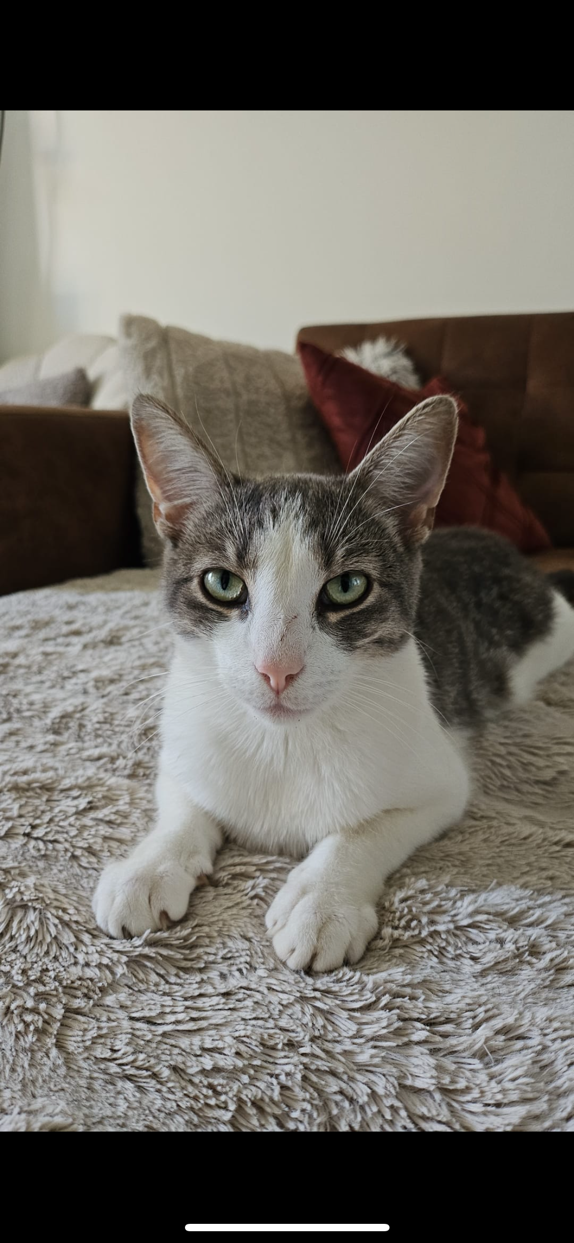 Bailey - Ziegeleistraße, Leer