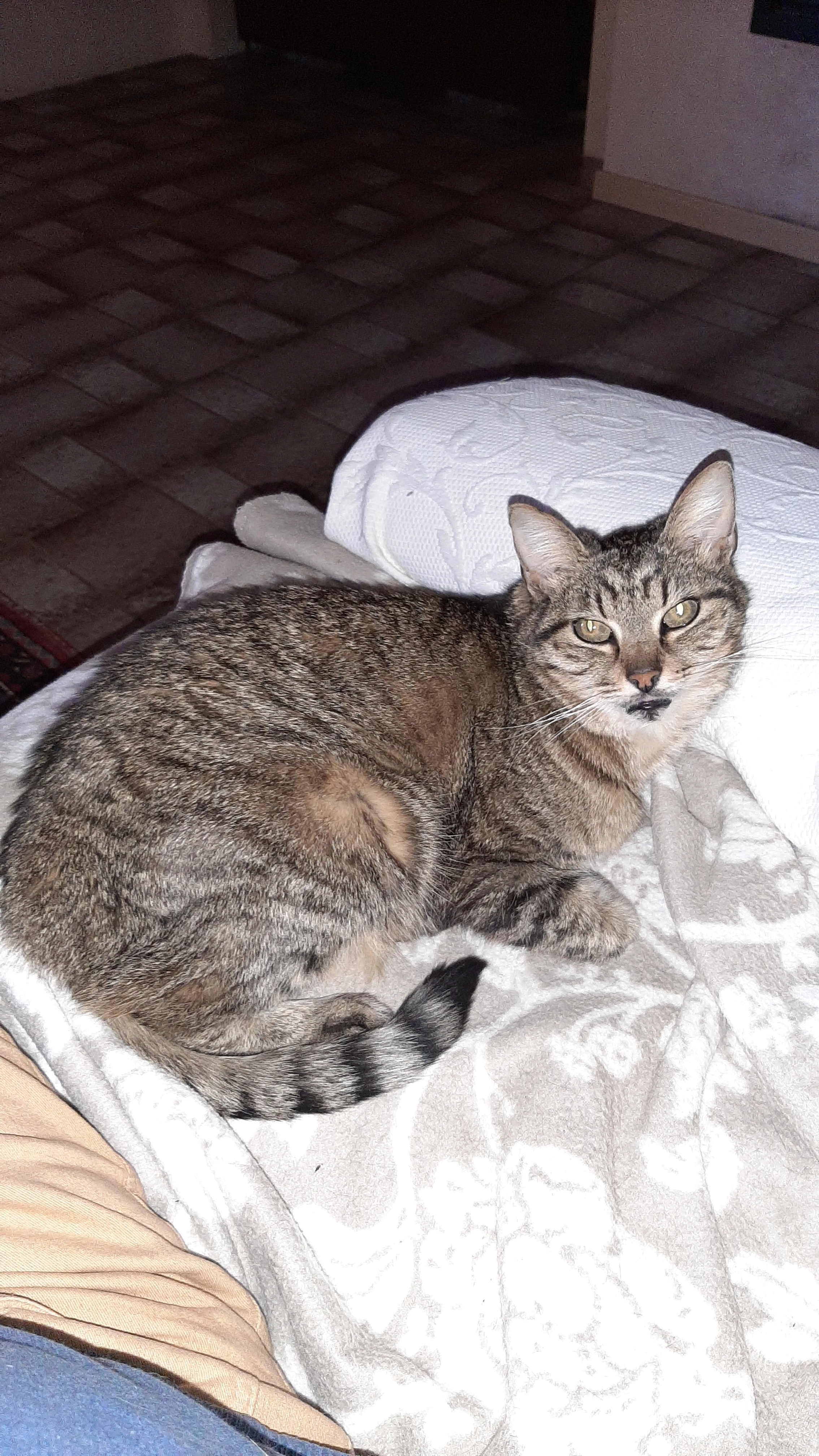 Zazie  - Rue Payefa, Ferrières