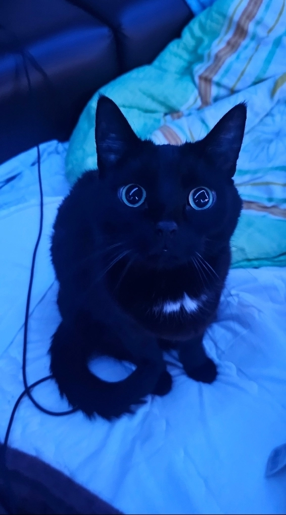 Rocky - Bergstraße, Waldbüttelbrunn