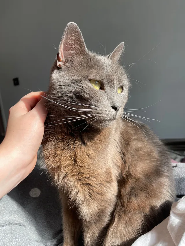Ariel - Cheltenham Close, Rushden