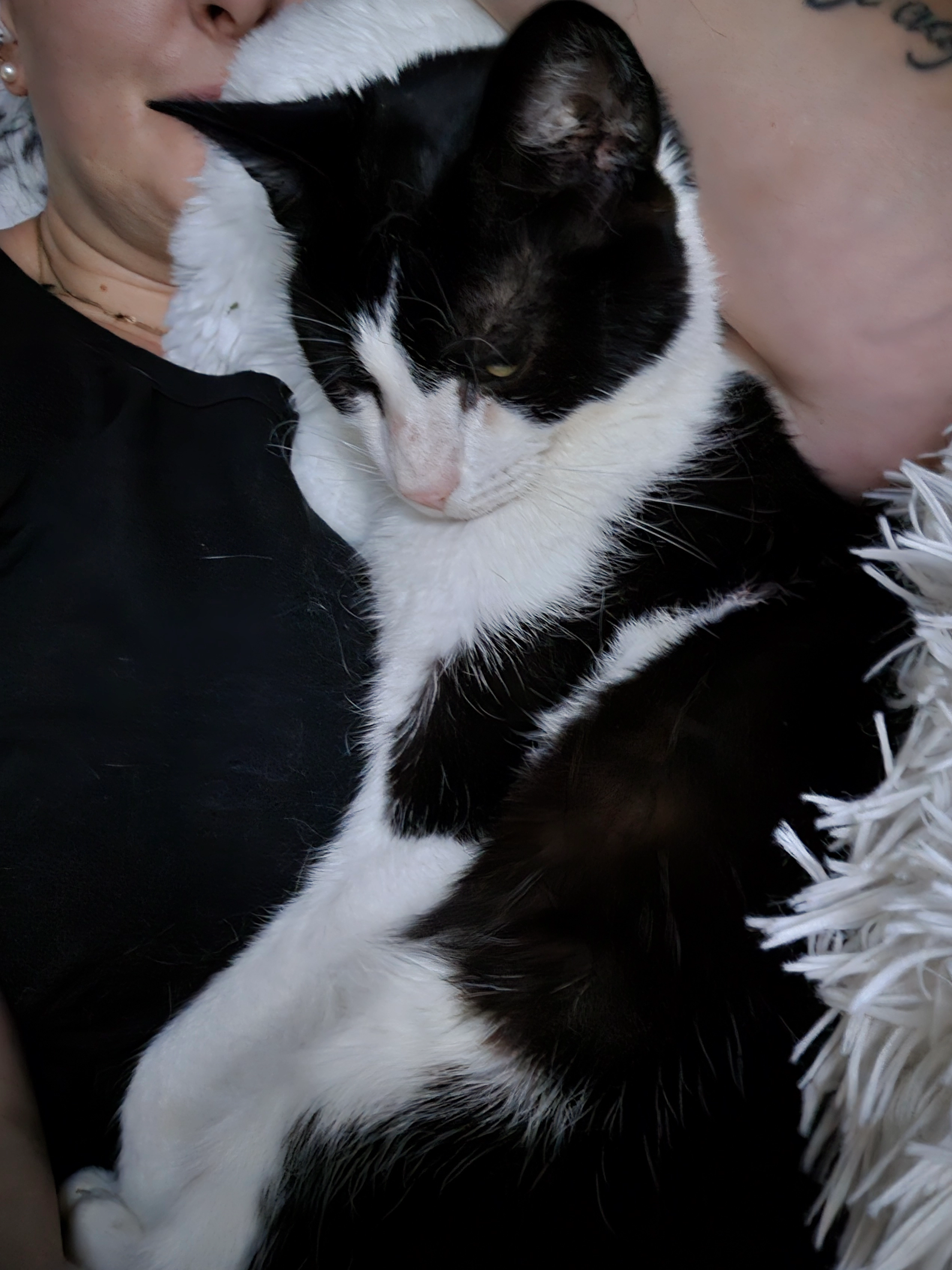 Batman  - Helmdon Crescent, Northampton