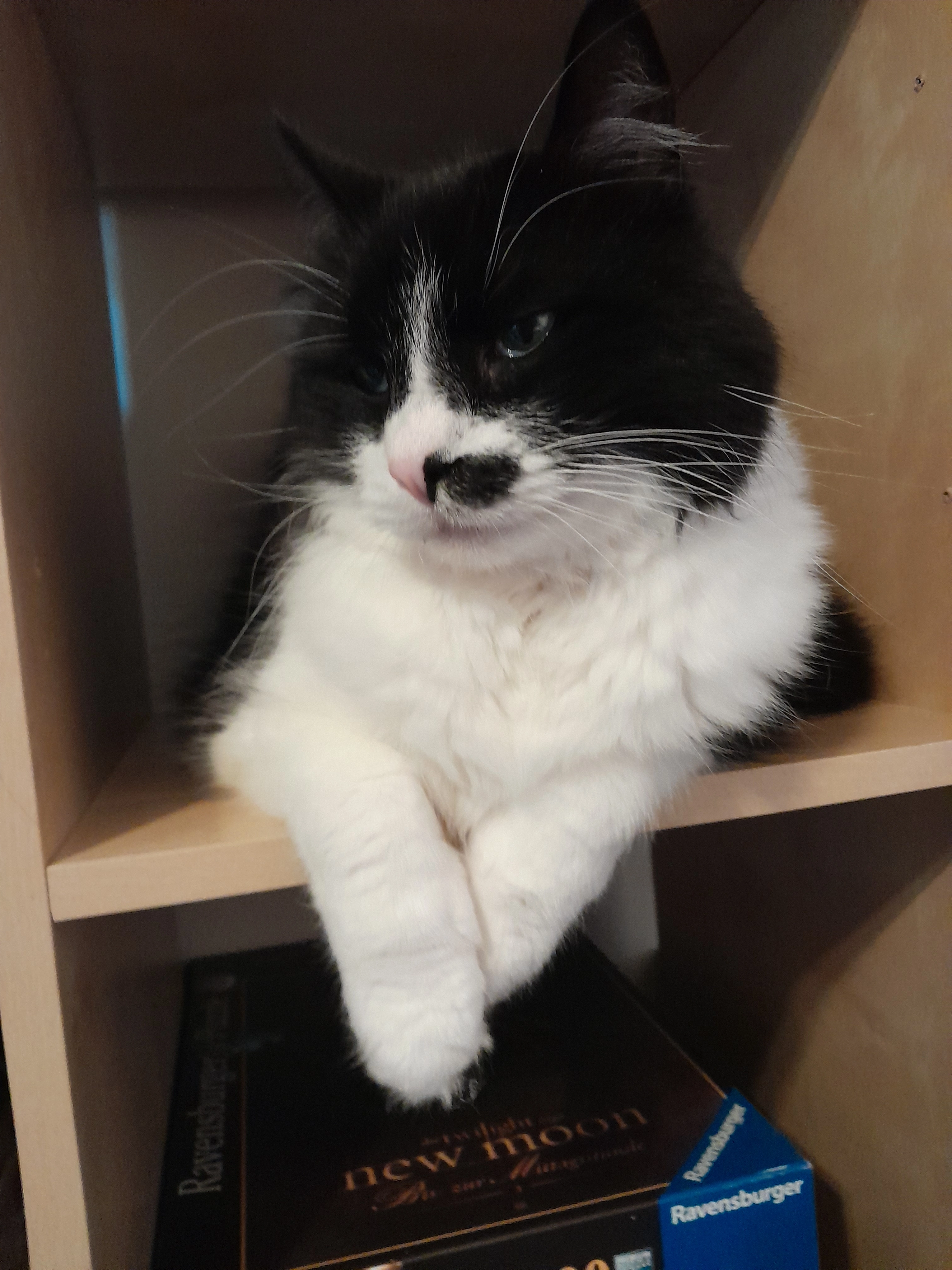 Migel - Brüne-Rustedt-Straße, Achim