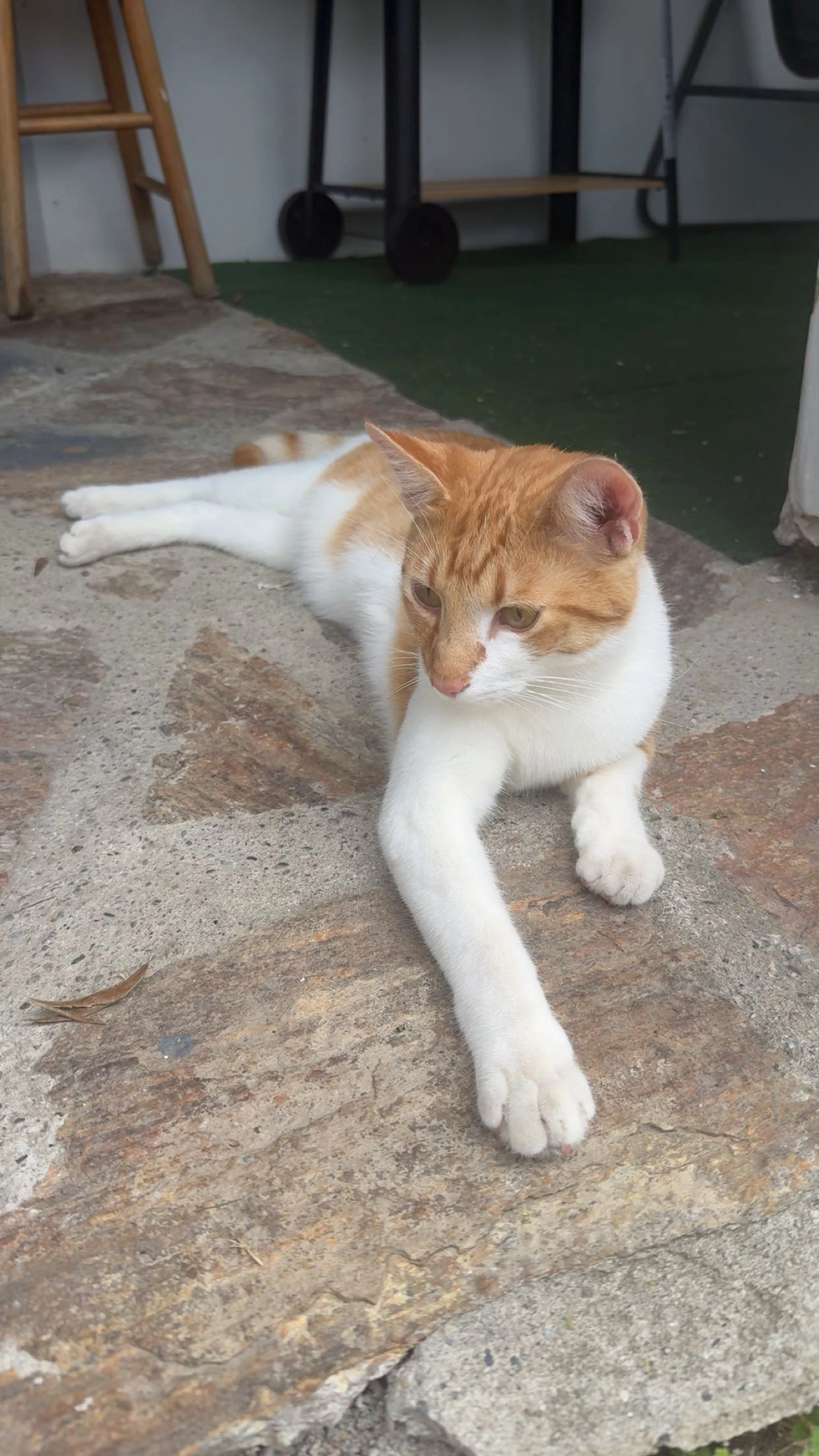 Tacco - Obere Fellacher Straße, Villach