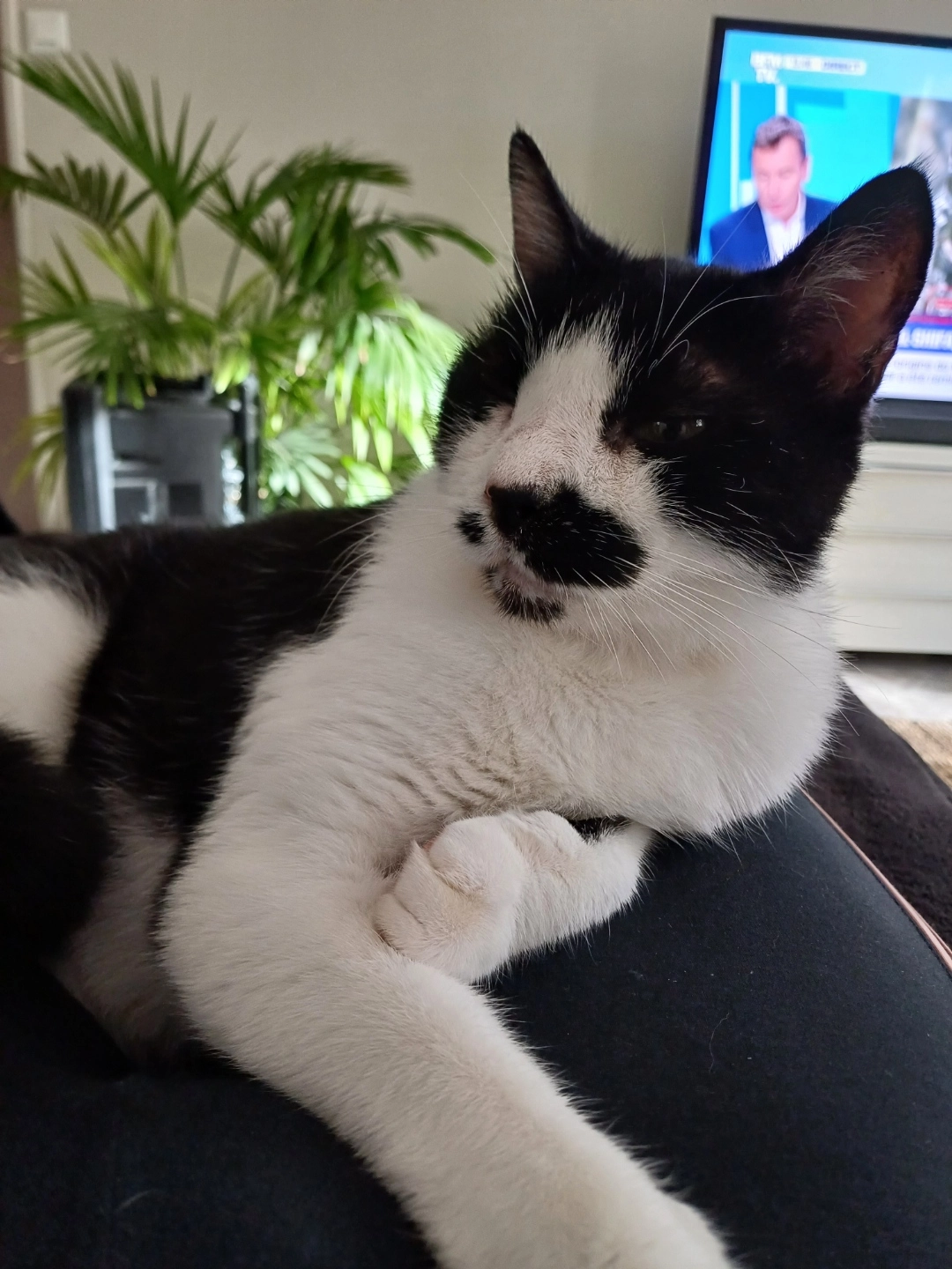 Indigo - Allée Des Sources, Malataverne