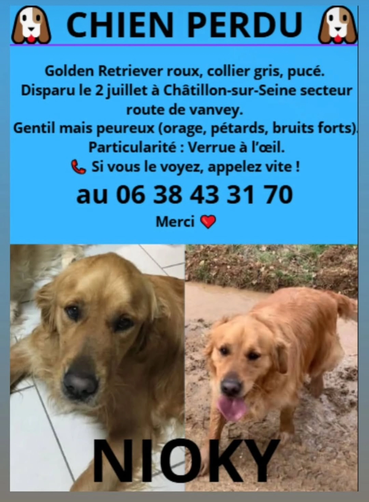 Nioky  - Rue de Seine, Châtillon-sur-Seine