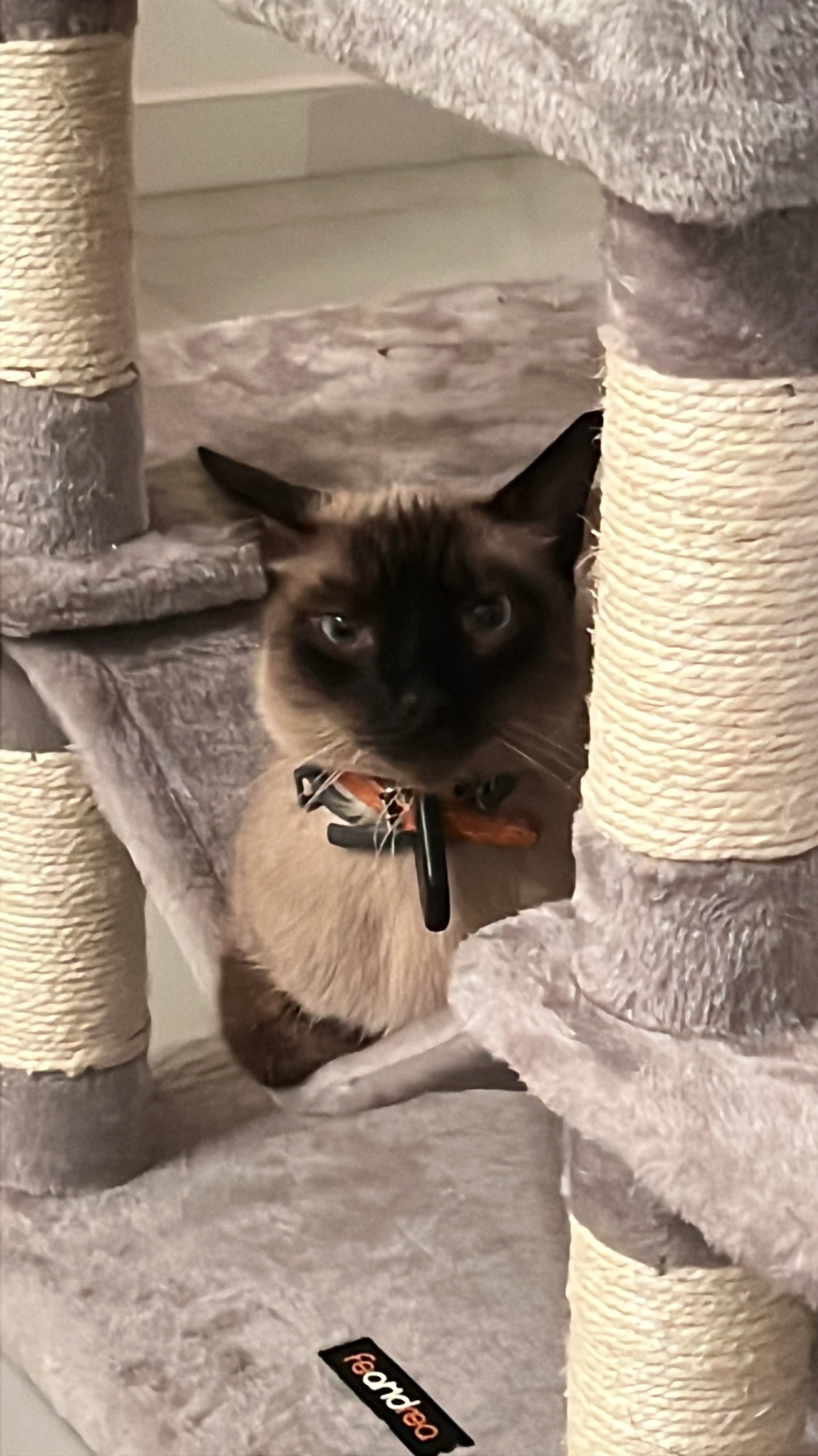 Mew - Calle Marquรฉs De Nervion, Sevilla