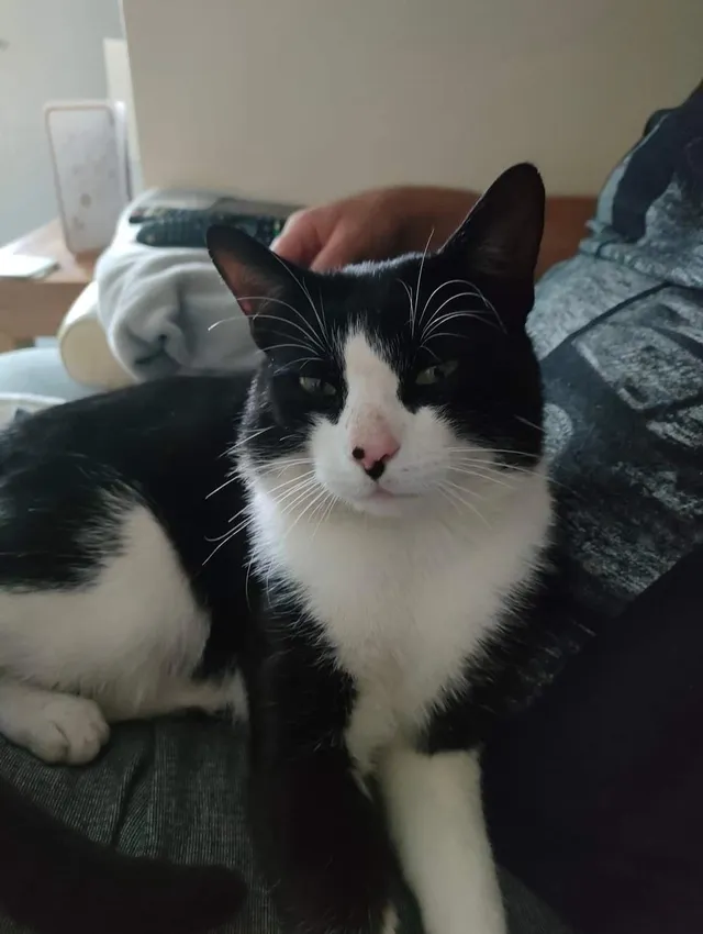 George - S64 5, Mexborough