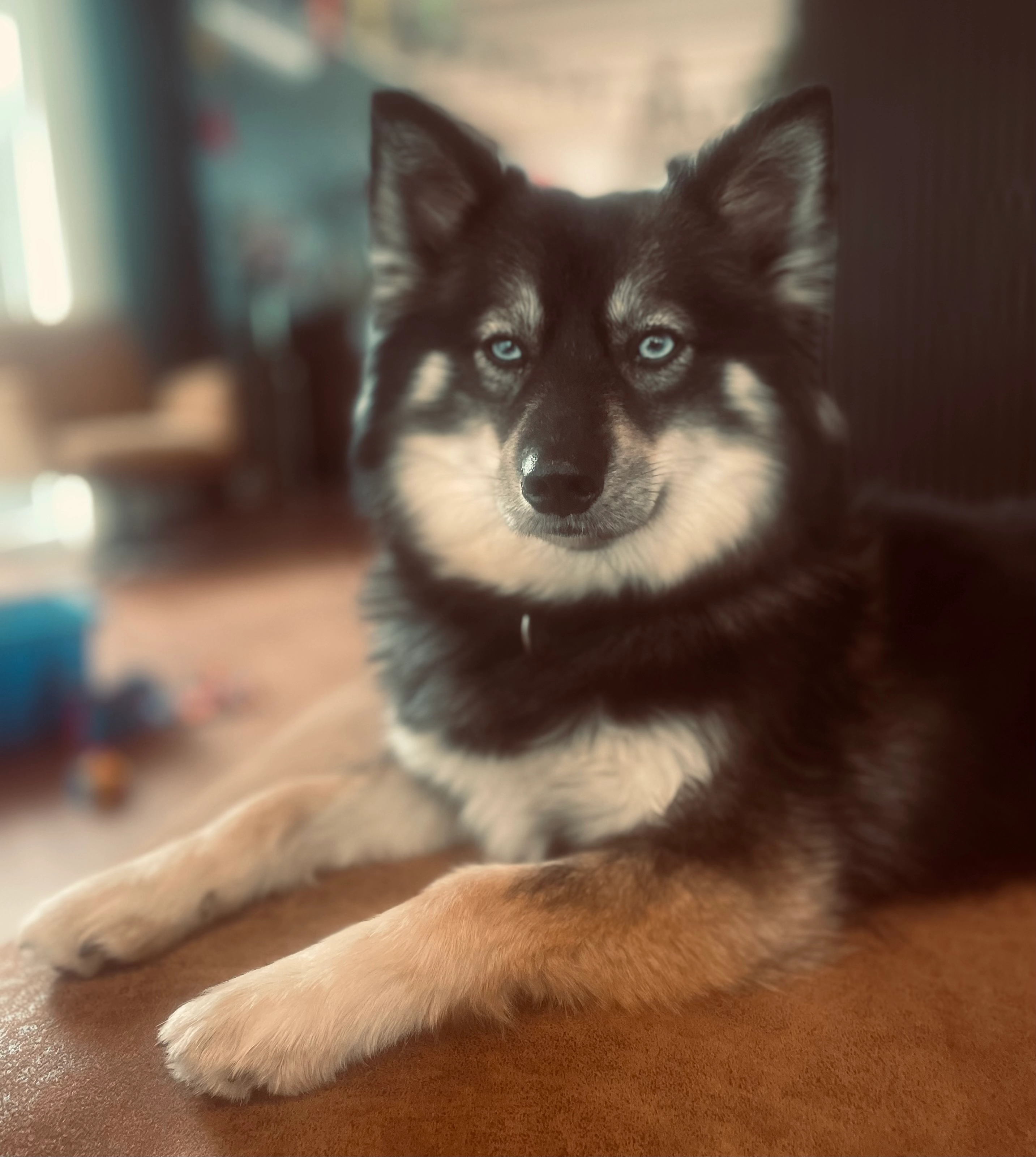 Nova - Jan van Daalstraat, Beers