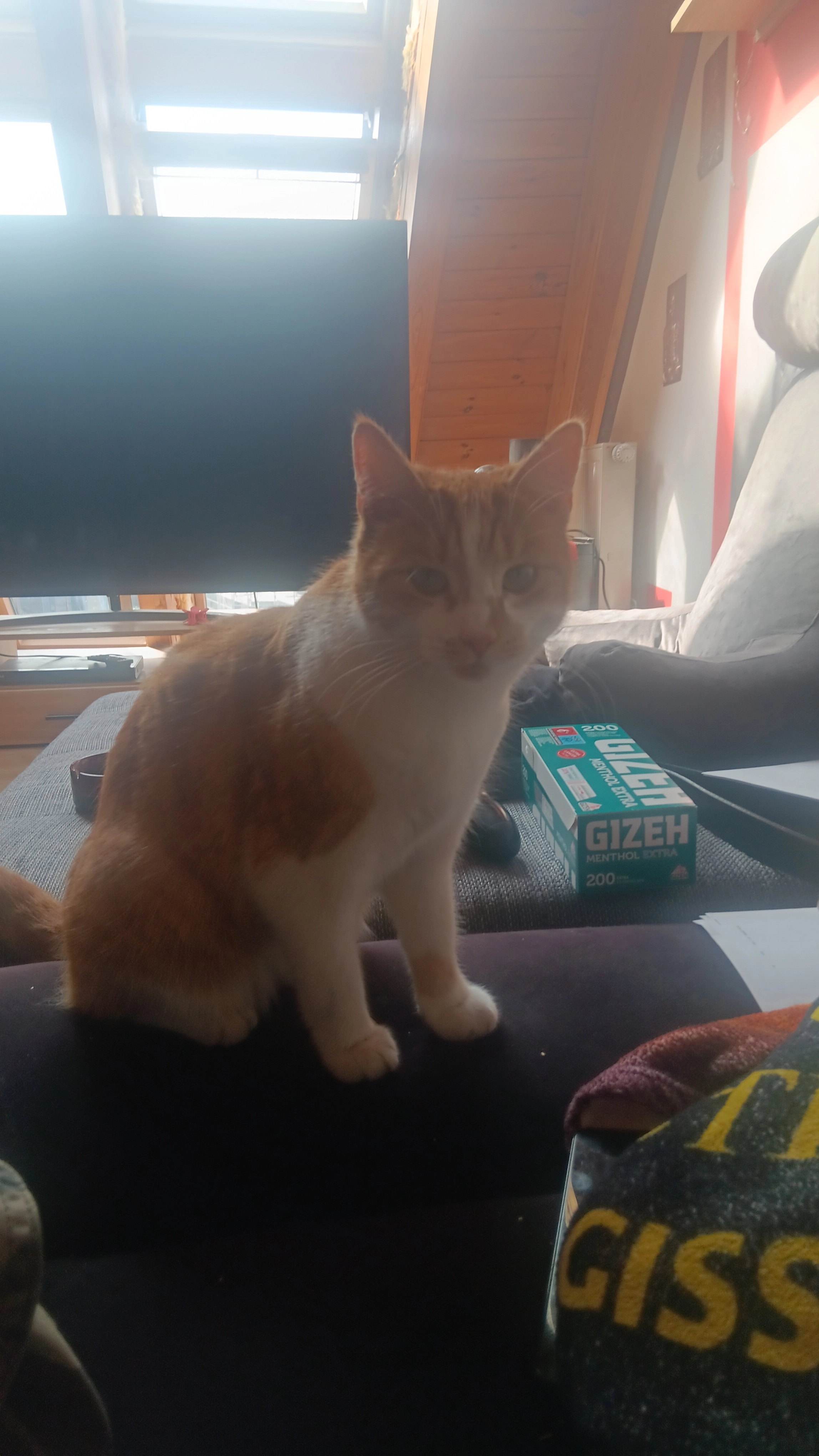 Putin  - Burgstraße, Wittenberge