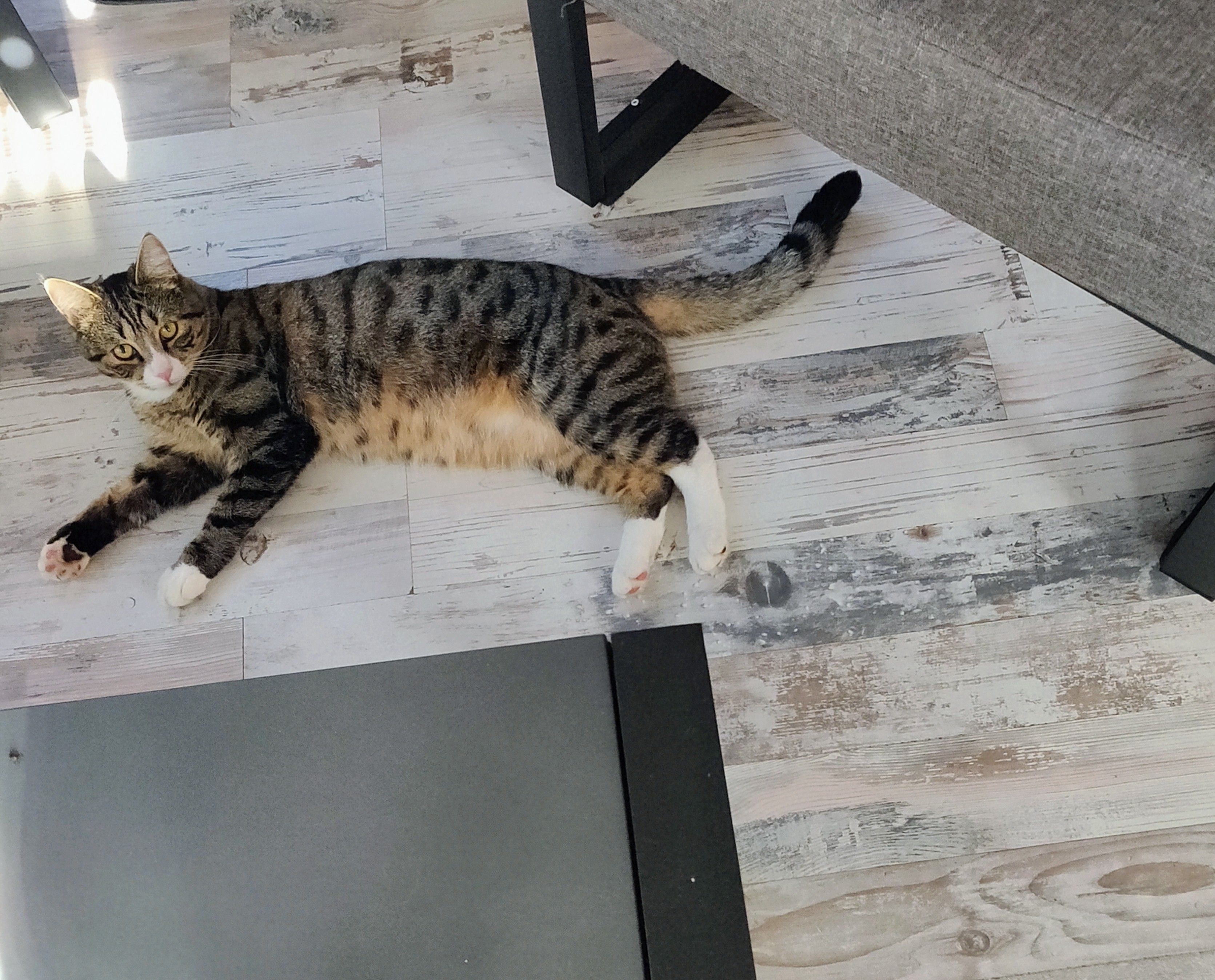 Kokkie - Breddenberger Straße, Börger