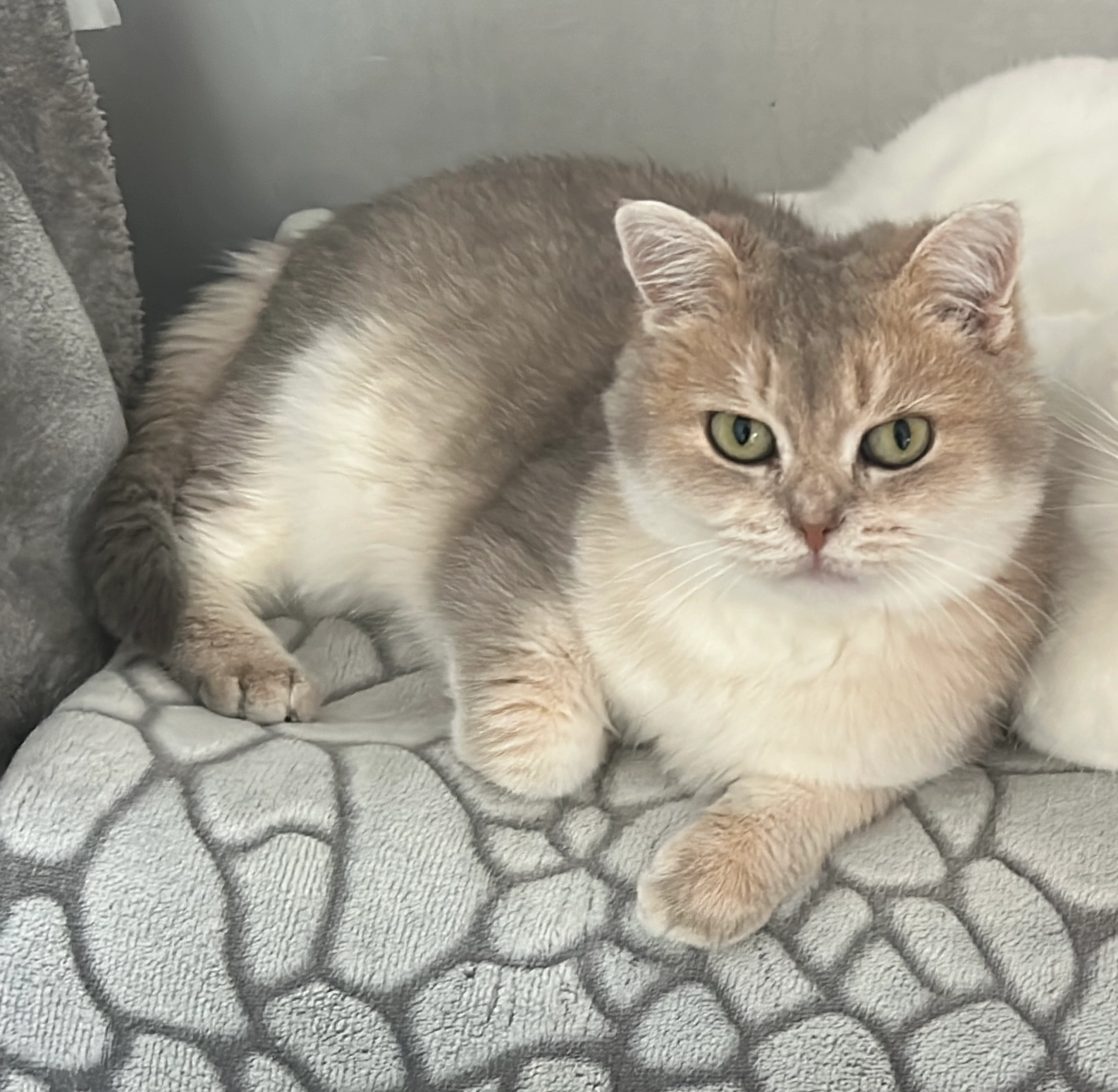 Leonie - Sölder Straße, Dortmund