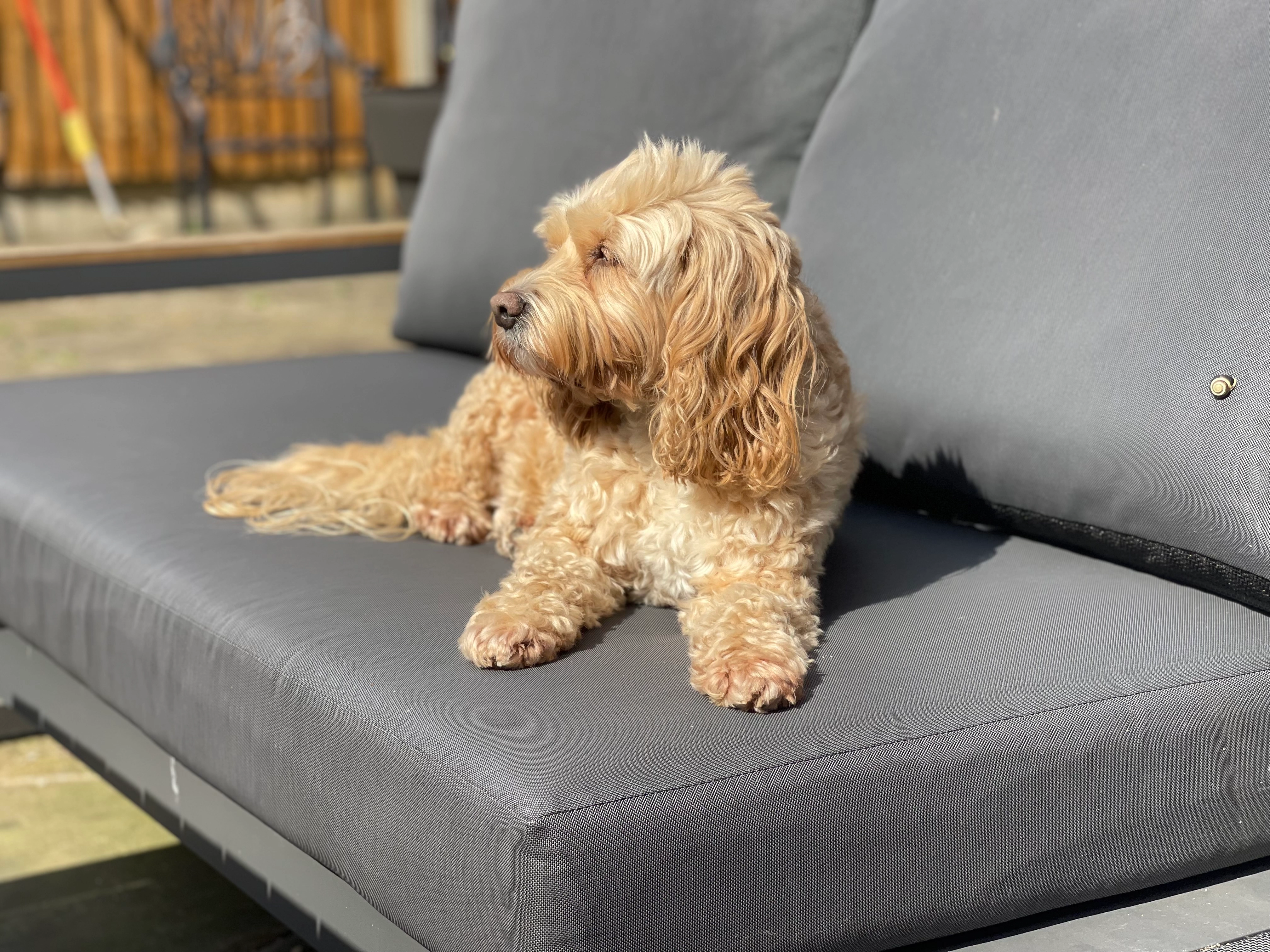 Chai - Butler Avenue, Harrow