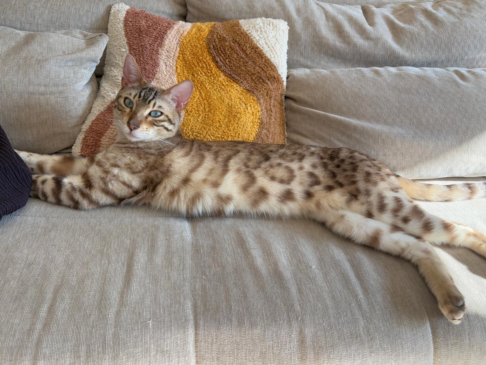 Uzi - Chemin Des Peupliers, Saint-Genis-Pouilly