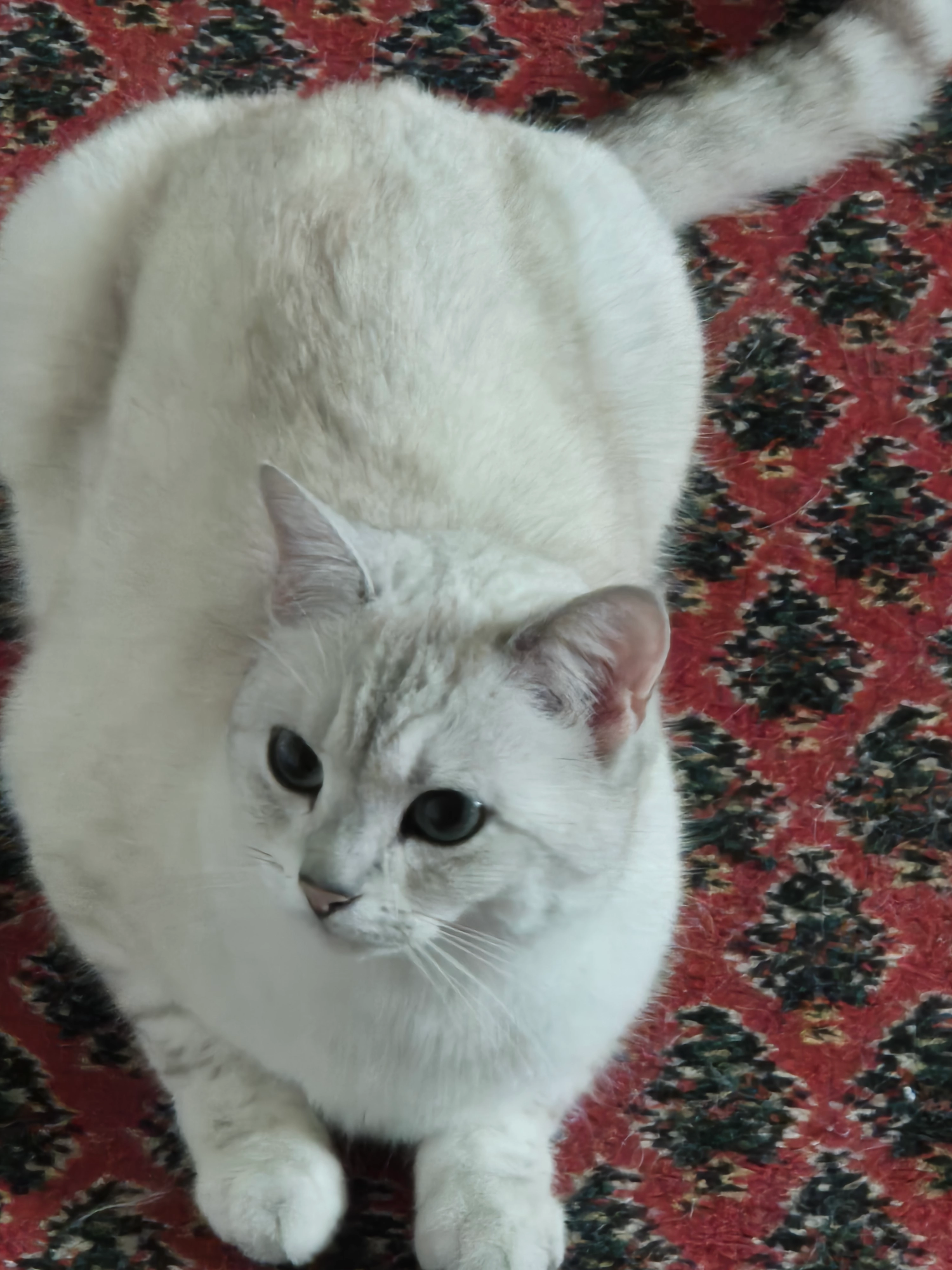 Mila - Flurstraße, Obersulm