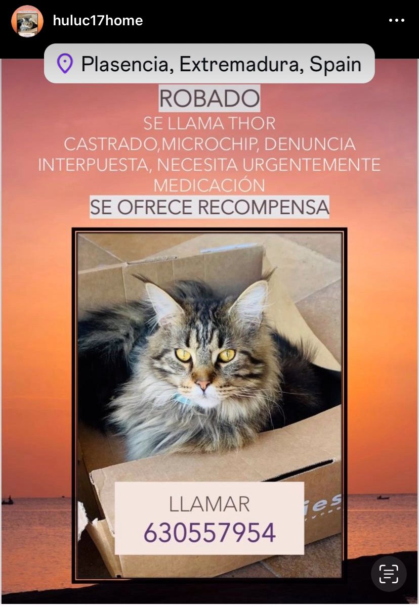 THOR - Calle Camino Viejo del Puerto, Plasencia