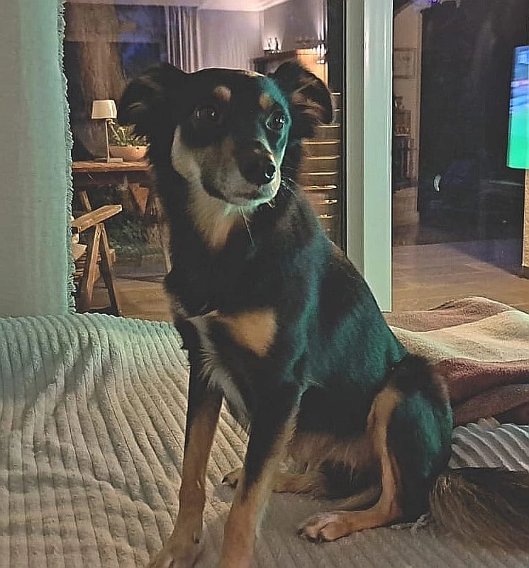 Sunny - Helene-Mayer-Straße, Offenbach am Main