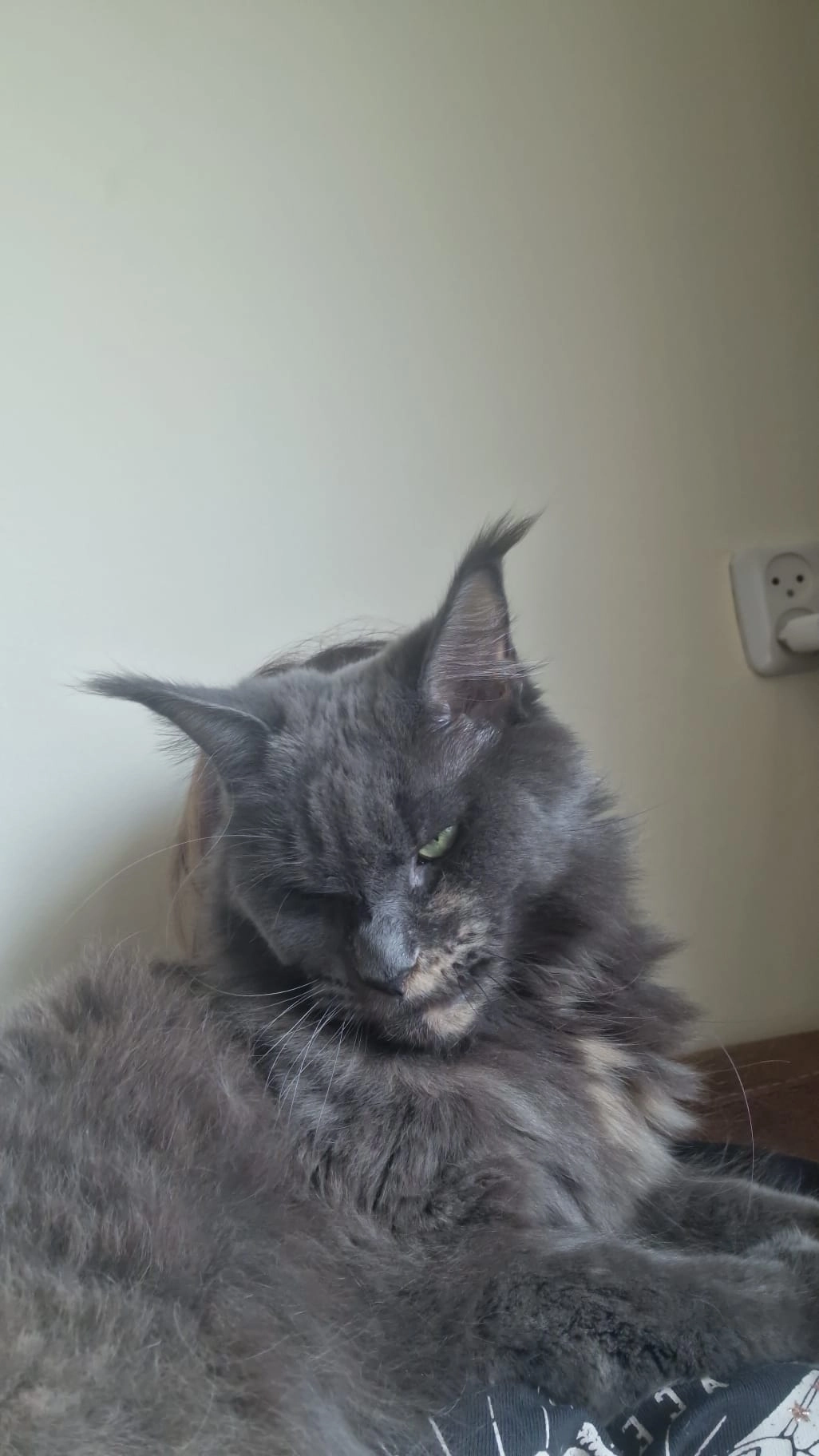 Truusje - Turfsteker, Heerenveen