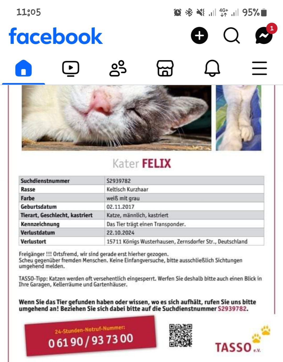 Felix - Zernsdorfer Straße 34, Königs Wusterhausen