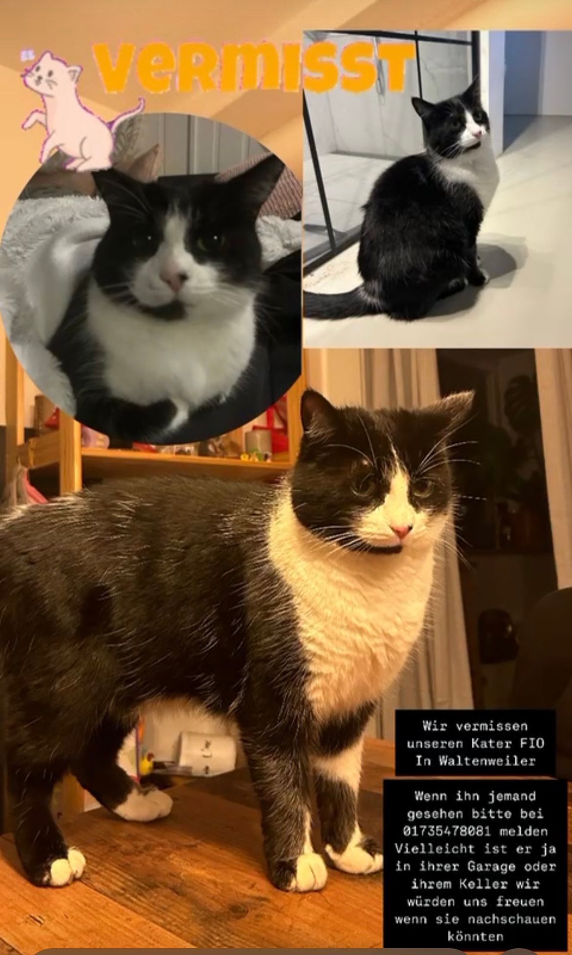 Fio - Brochenzeller Straße, Friedrichshafen