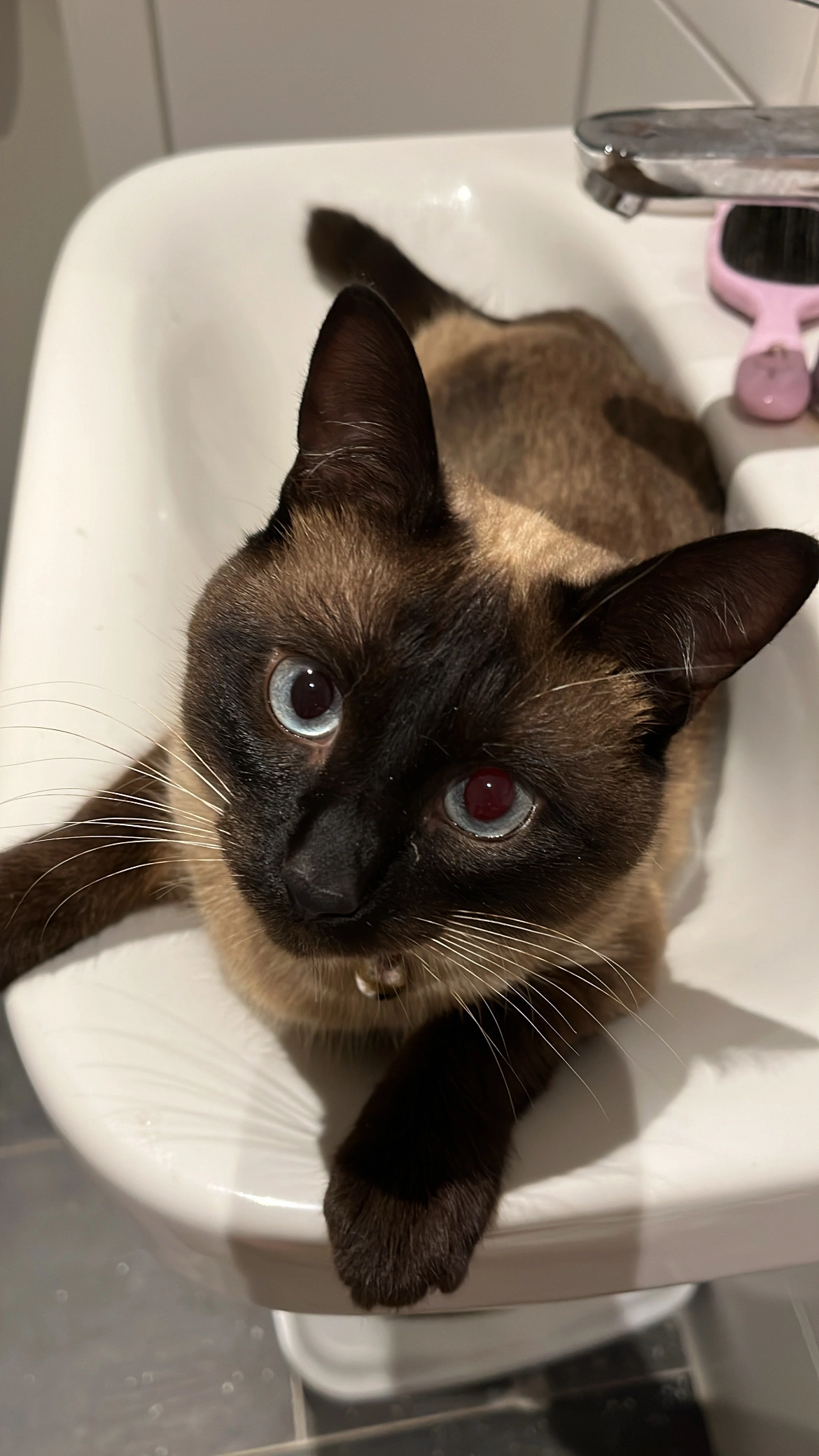 Lucky - Stader Straße 54 im Hinterhof, Hamburg