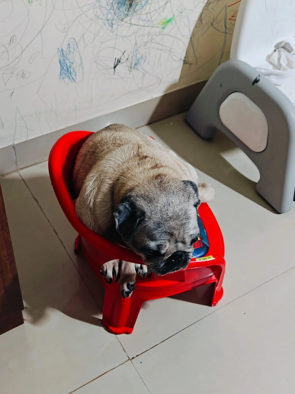 Sonu - Mallasandra, Bengaluru