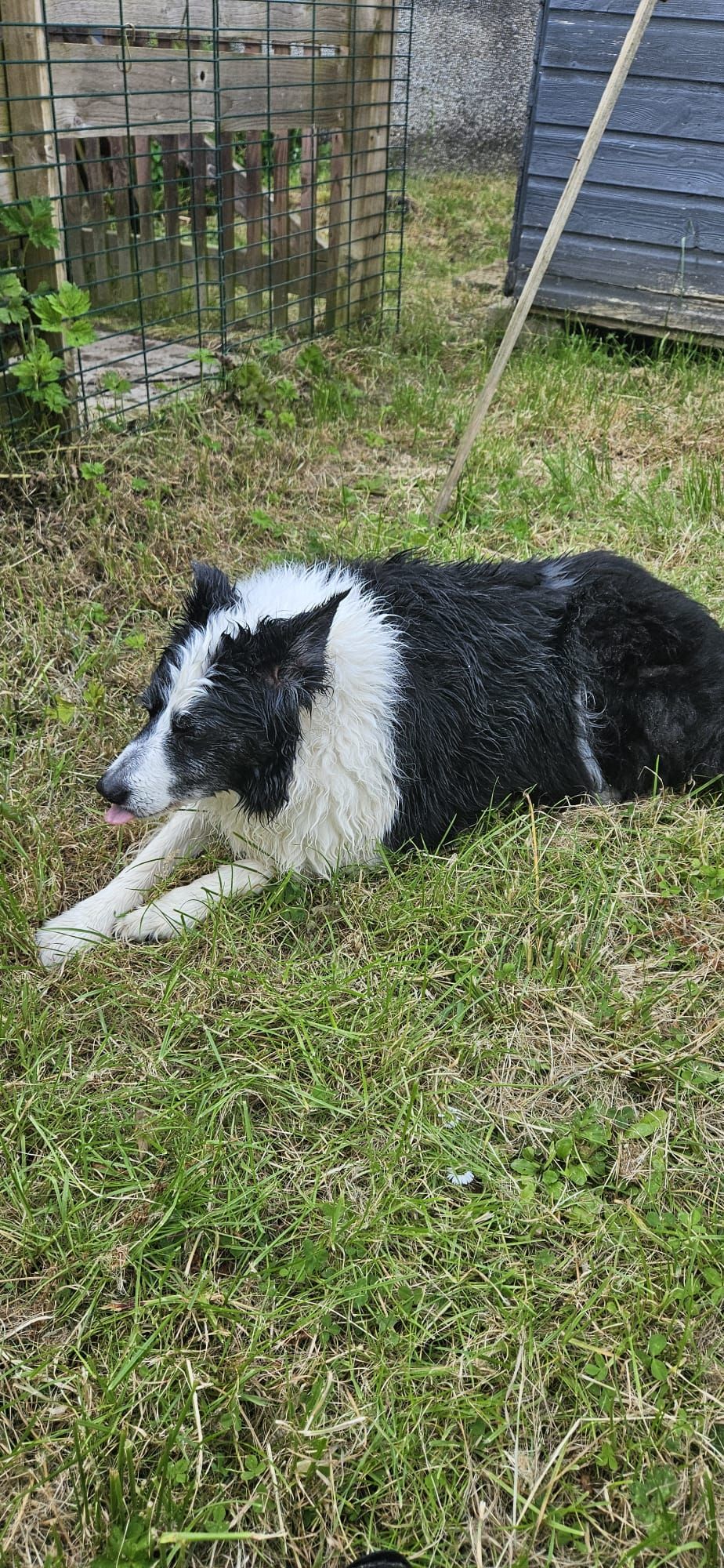 flash - Crowgarth Close, Cleator Moor